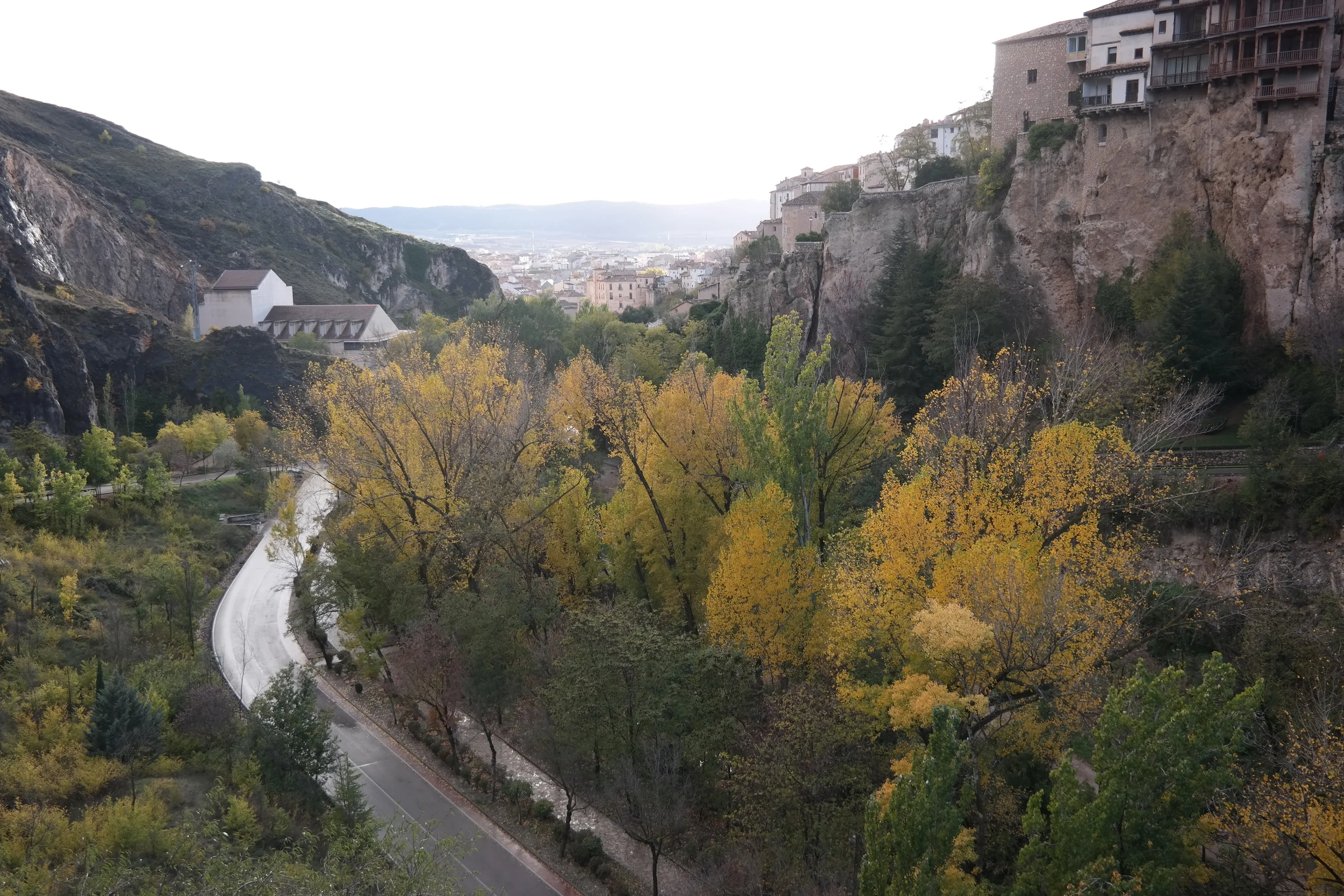 We got to see some trees changing after all!