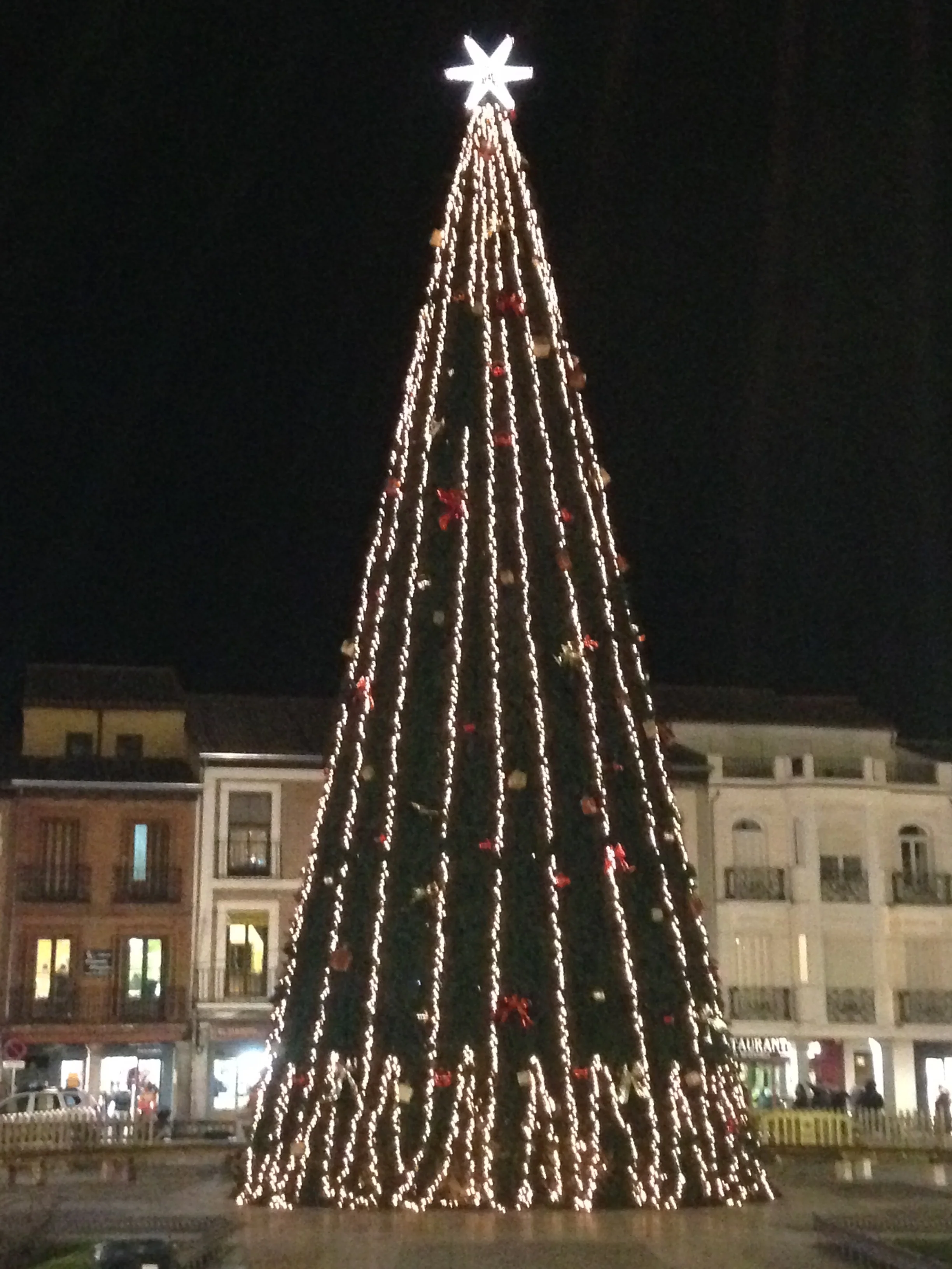 The Christmas tree in the central plaza.