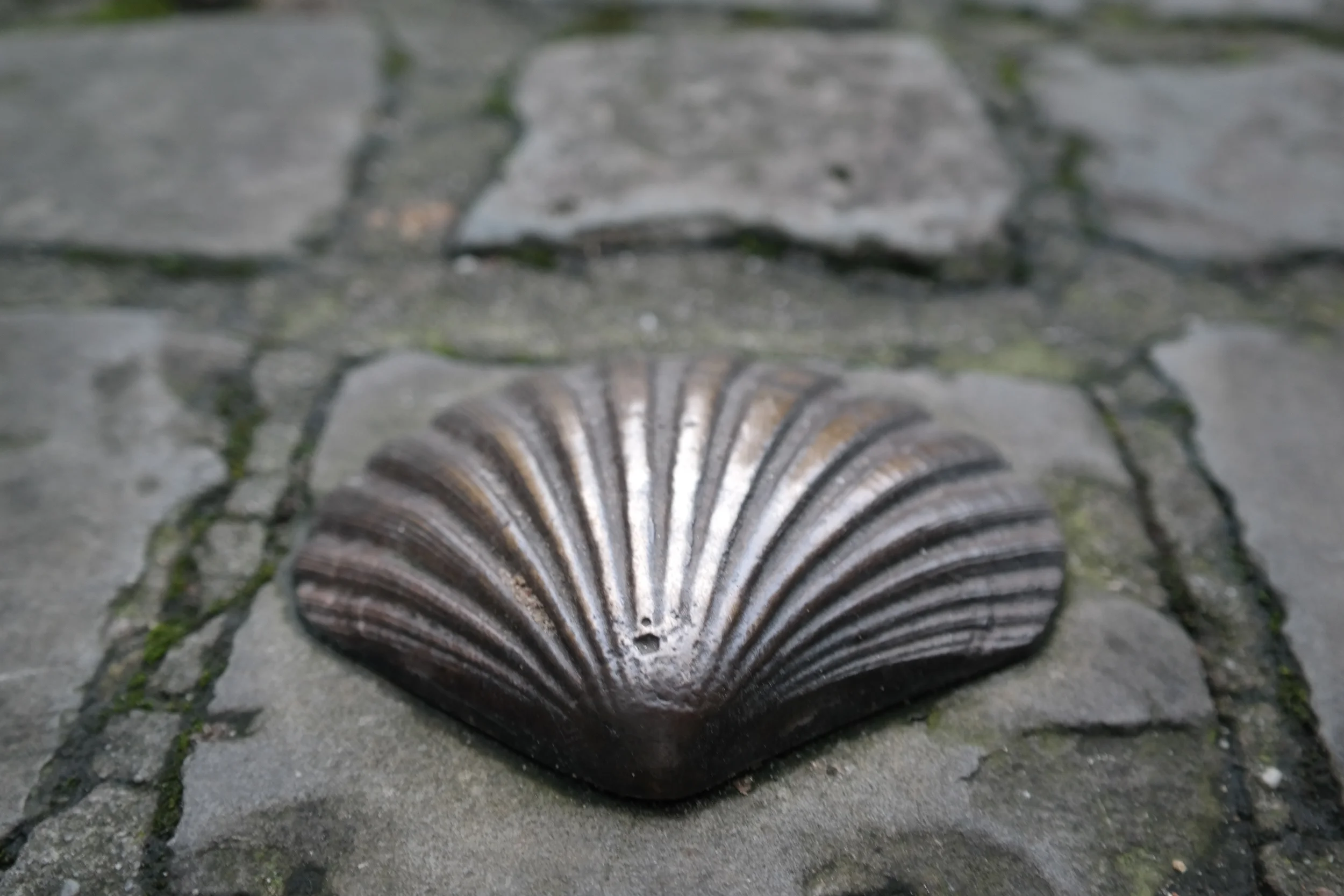 All roads lead to Spain... Apparently the Camino de Santiago departs from Belgium as well. We found this traditional symbol of the Camino in front of St. James' Church in Bruges, Belgium.