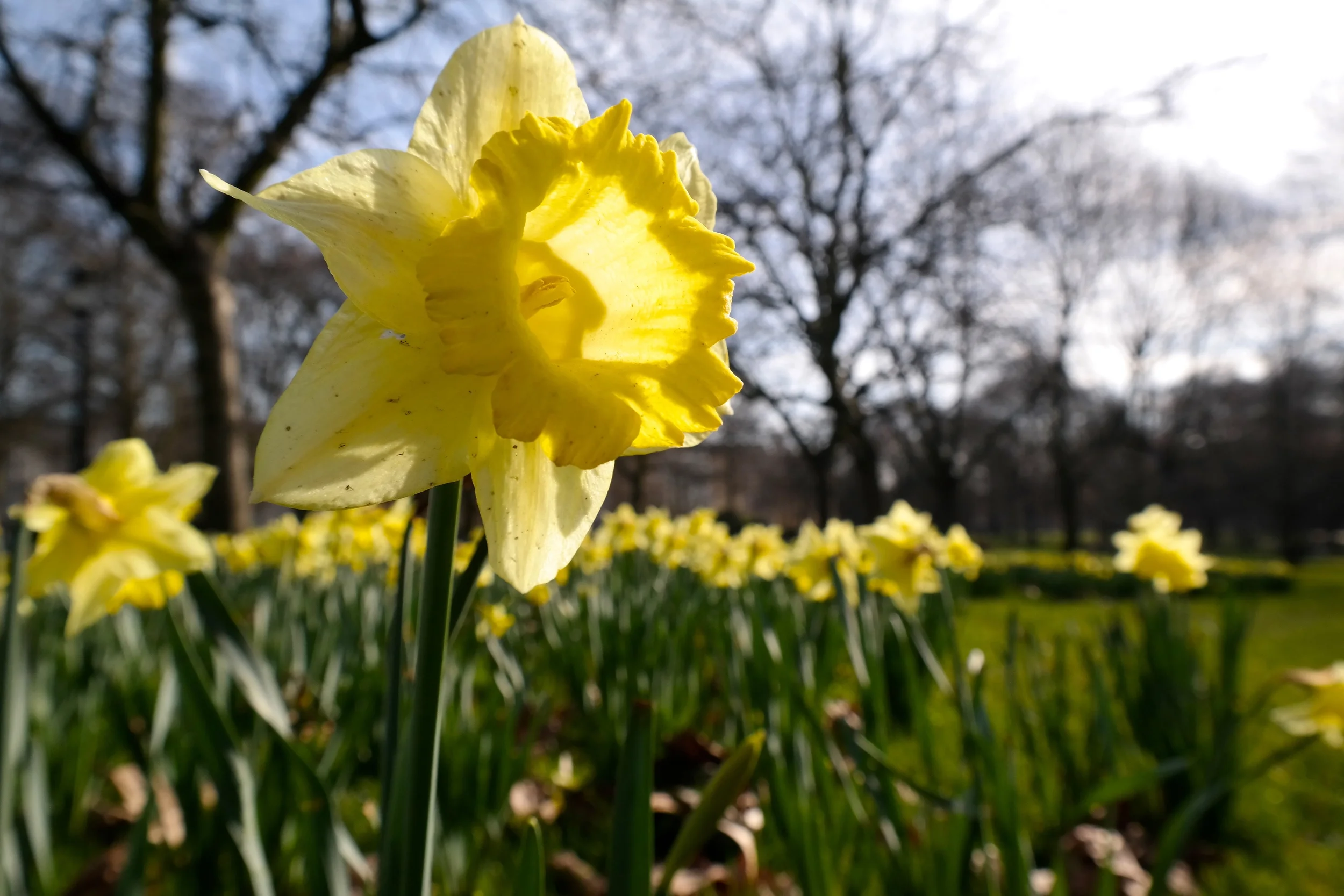 We had perfect weather for walking around London: sunny and warm, but not too warm.