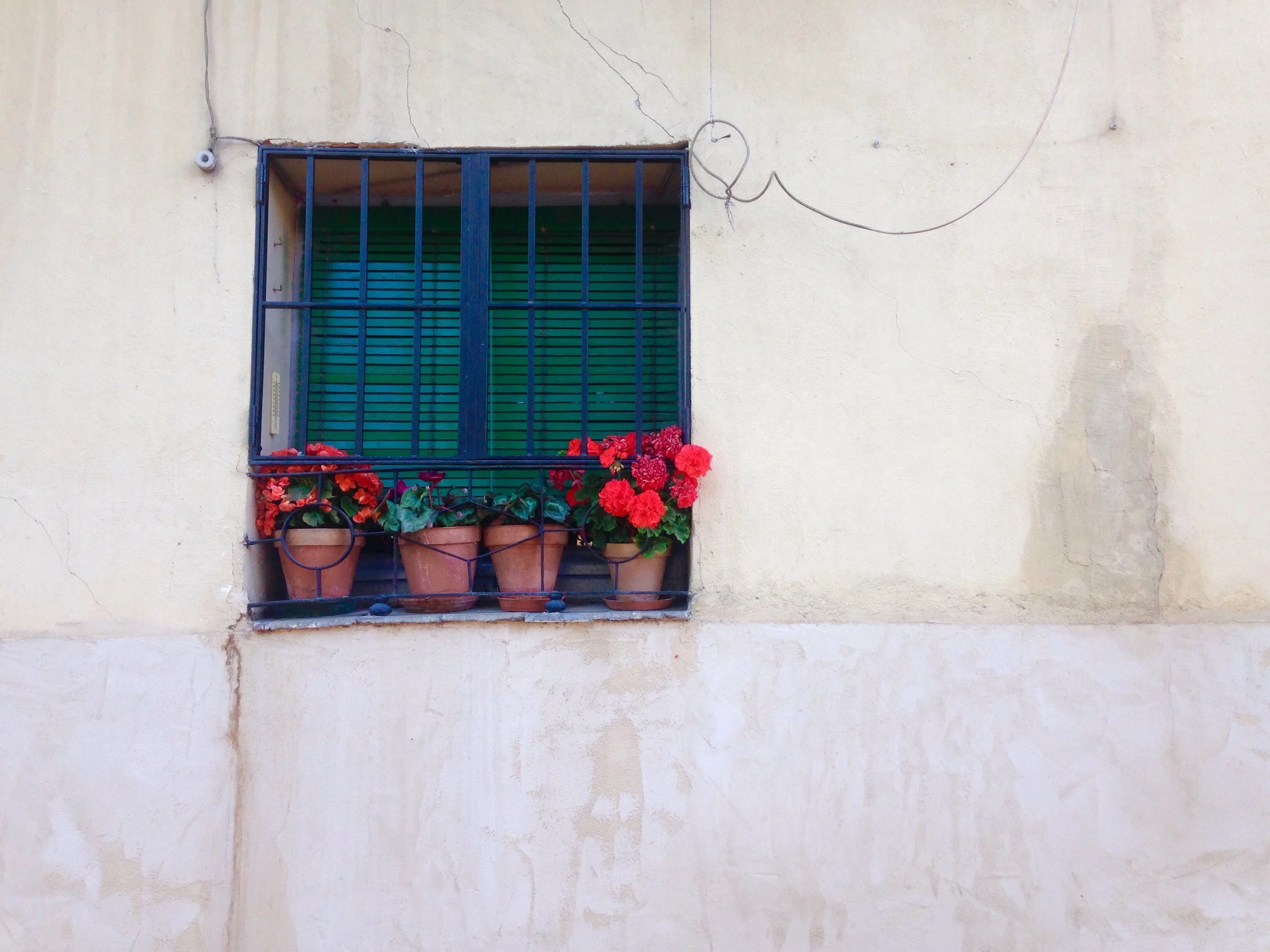 Pretty planters in the window for spring.