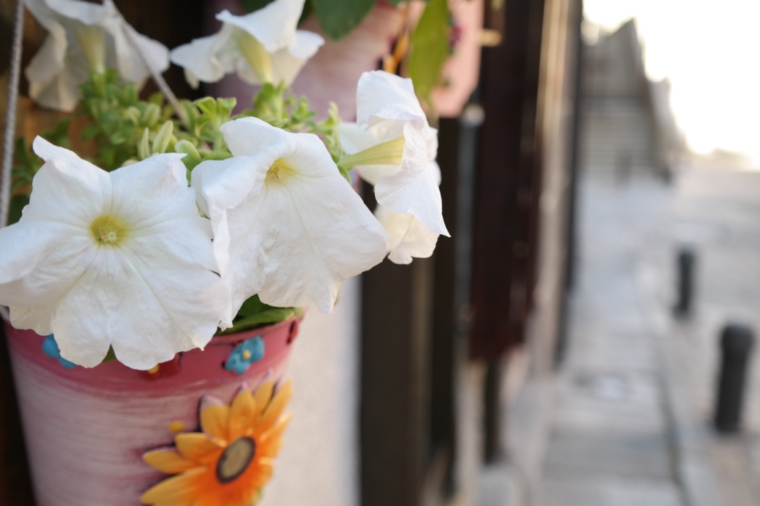 My friends are prettier than these flowers.