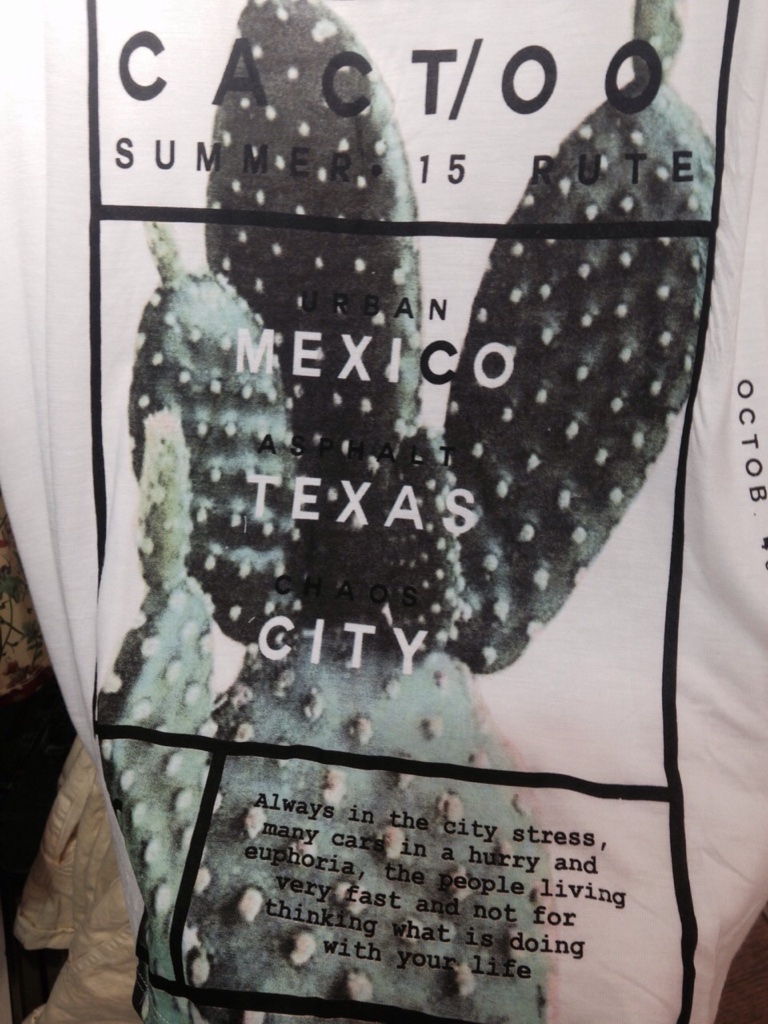 Cact/oo Summer 15 Rute / Urban Mexico / Asphalt Texas / Chaos City / Always in the city stress, many cars in a hurry and euphoria, the people living very fast and not for thinking what is doing with your life. (WHAAAAAT?!?! Also, what is a cactoo ? I like this new pluralization.)