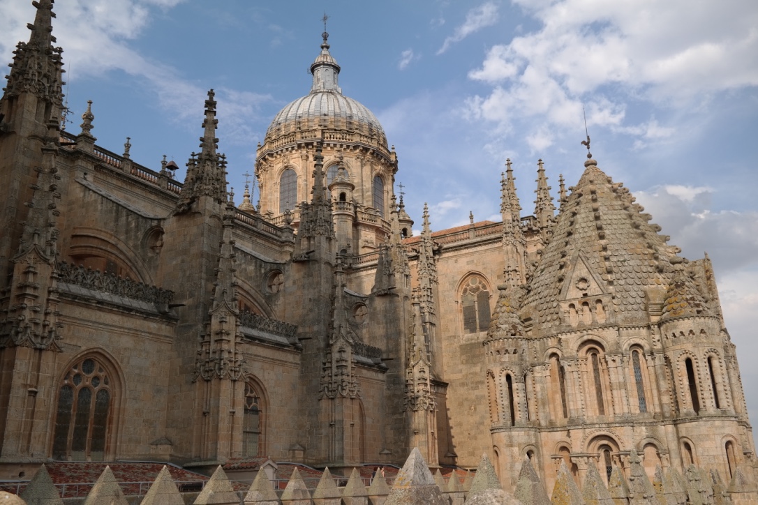 We toured the cathedral, and climbed up to the top of the bell tower.