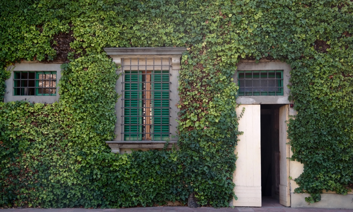 Entrance to the wine cellars, where we got a tour of the old cellars (with barrels made of chestnut) as well as the new ones. A wine tasting followed in a beautiful room overlooking the vineyards.