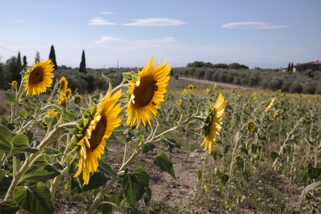 One of my favorite pictures from our time in Italy.