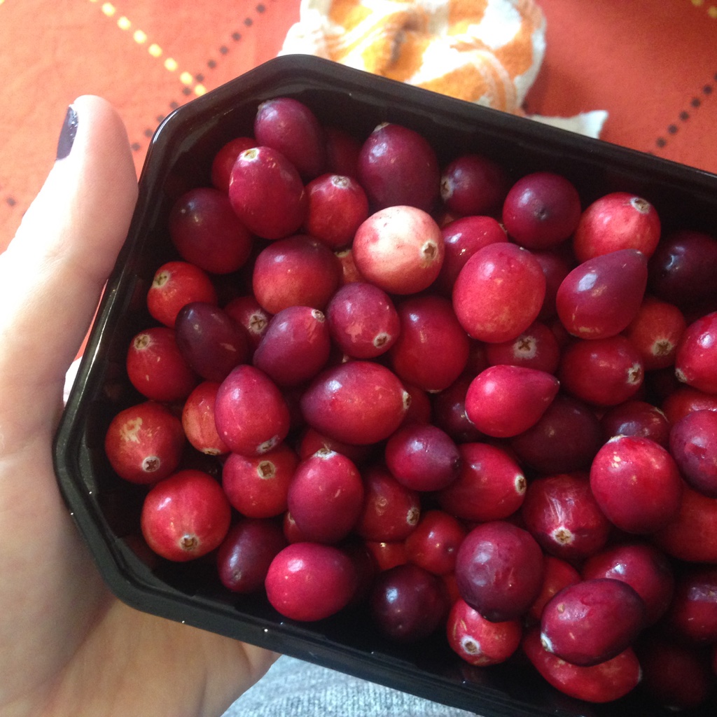 Fresh cranberries make the best cranberry sauce. This was my first time making it from scratch, and it won't be the last!