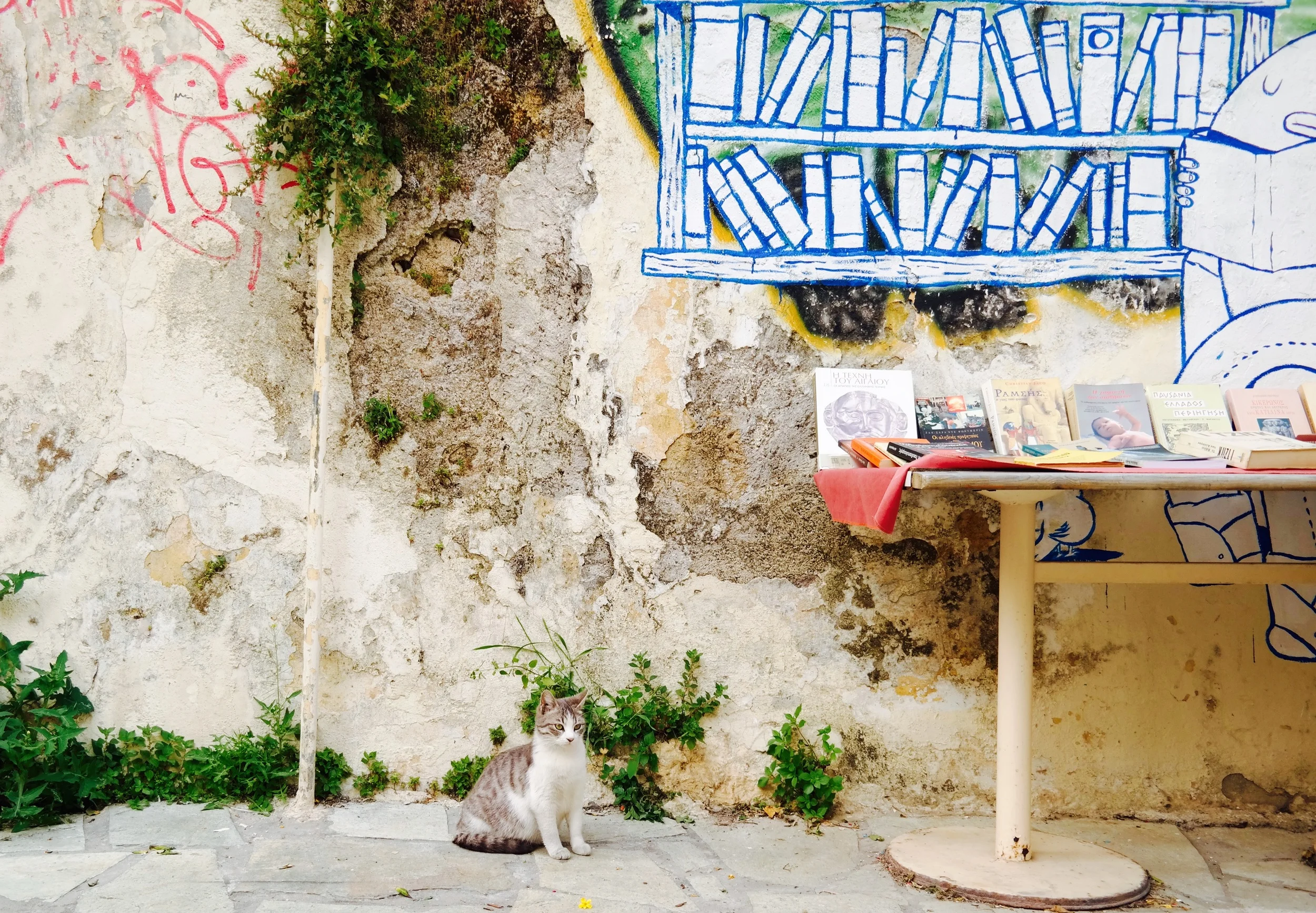 Athens is a city full of cats. These strays seem to be well taken care of, and pop up anywhere and everywhere.