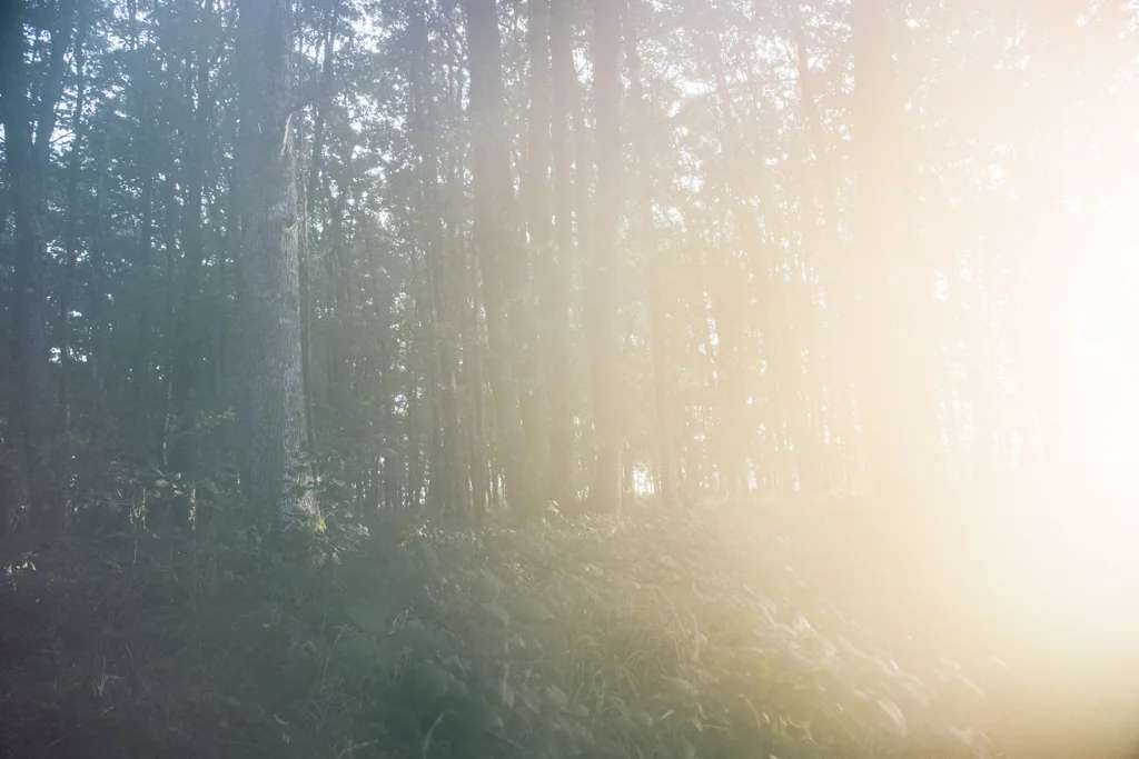 In the fifth season, like I call it, my mind lingered.   It isn’t a specific place; it’s all around.  There isn’t light shining but it isn’t dark either.   As much as it is connected to the world, it isn’t part of it. Y…