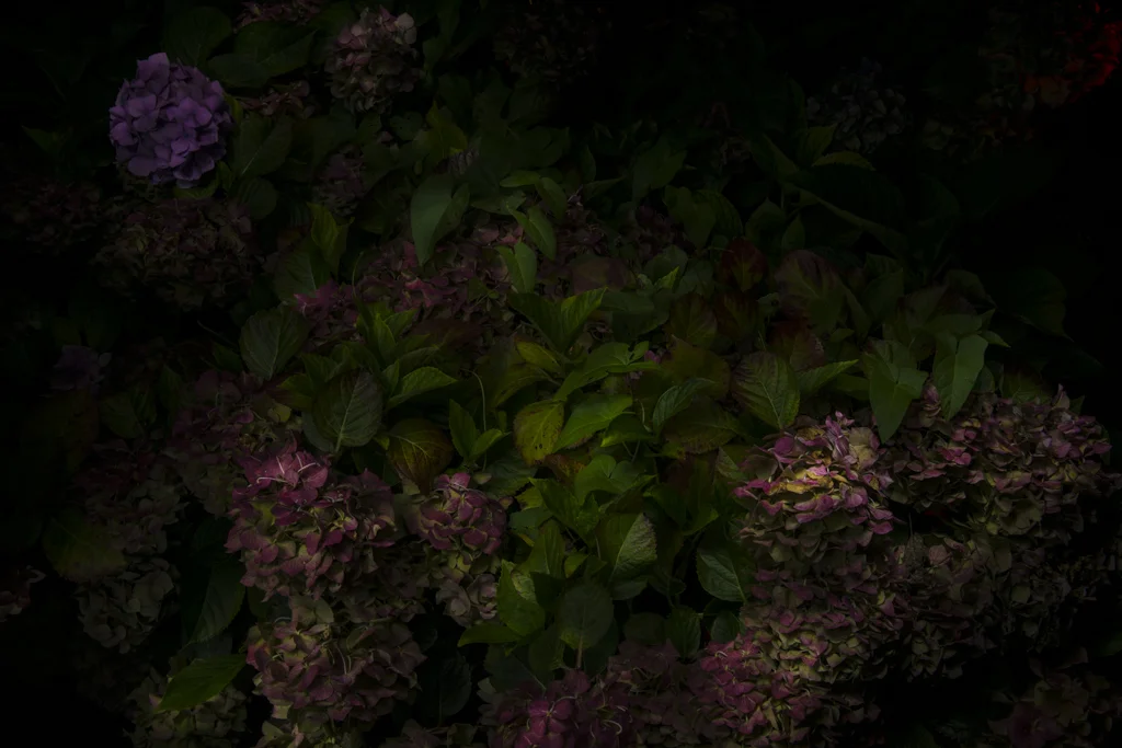 Behind the dazzling lights, it spoke again but soundless like something very important that you are not telling me.  So close but somehow never farther away.  隱藏在閃倏微光的黑闇之背它再次無聲的告白了什麼你從未說出的迫切如此靠近,也從未如此遙遠