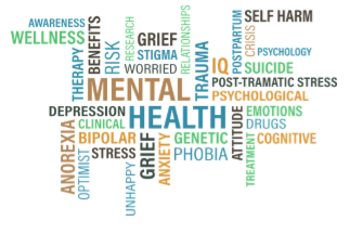 You and your brain seminar with Dr Kylie Dodsworth