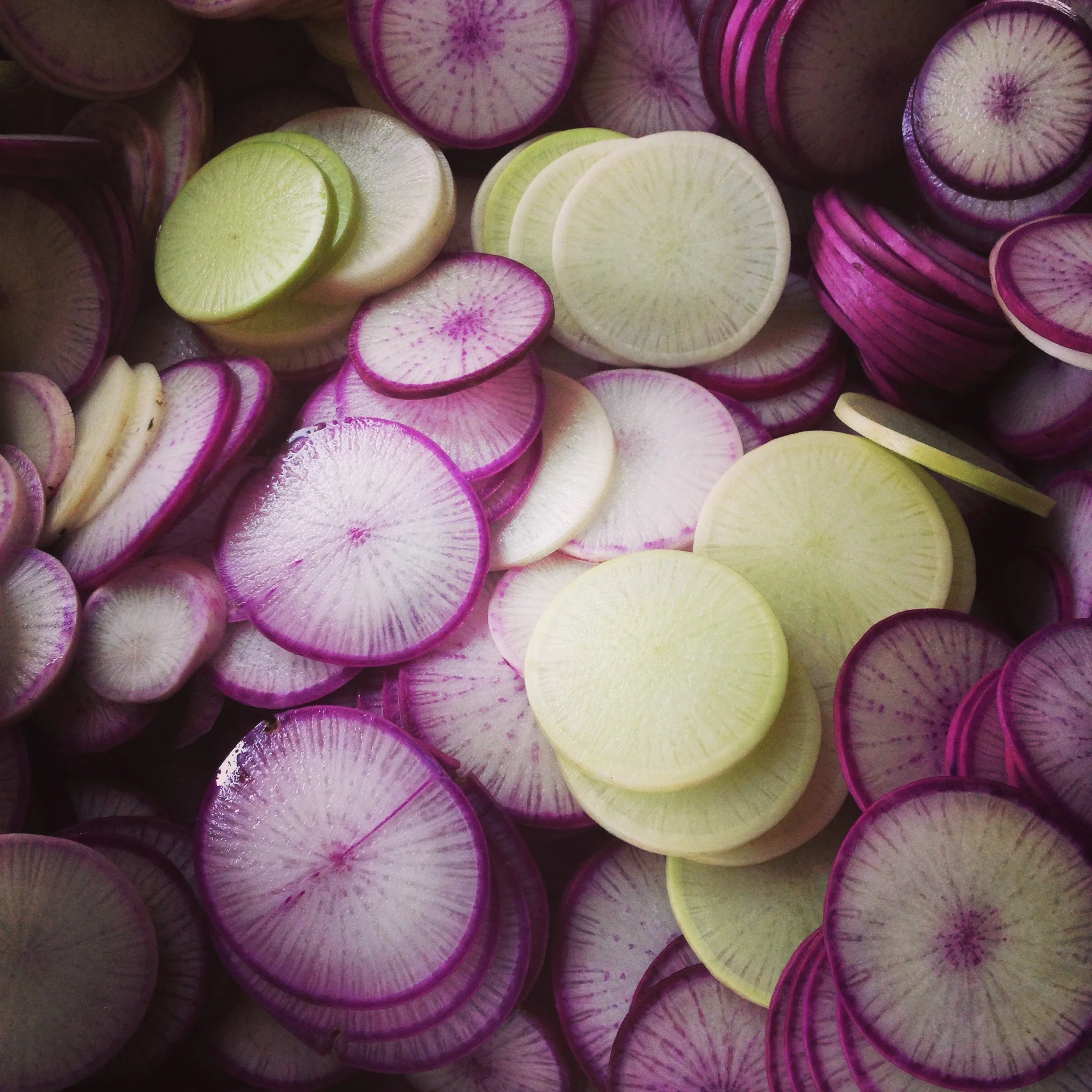 Japanese Farmhouse Ferments 