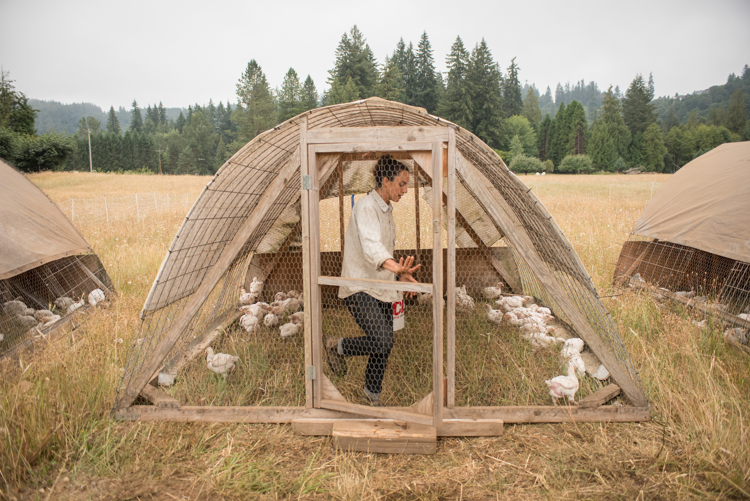 2018_Flying_Coyote_Farm_1083.jpg
