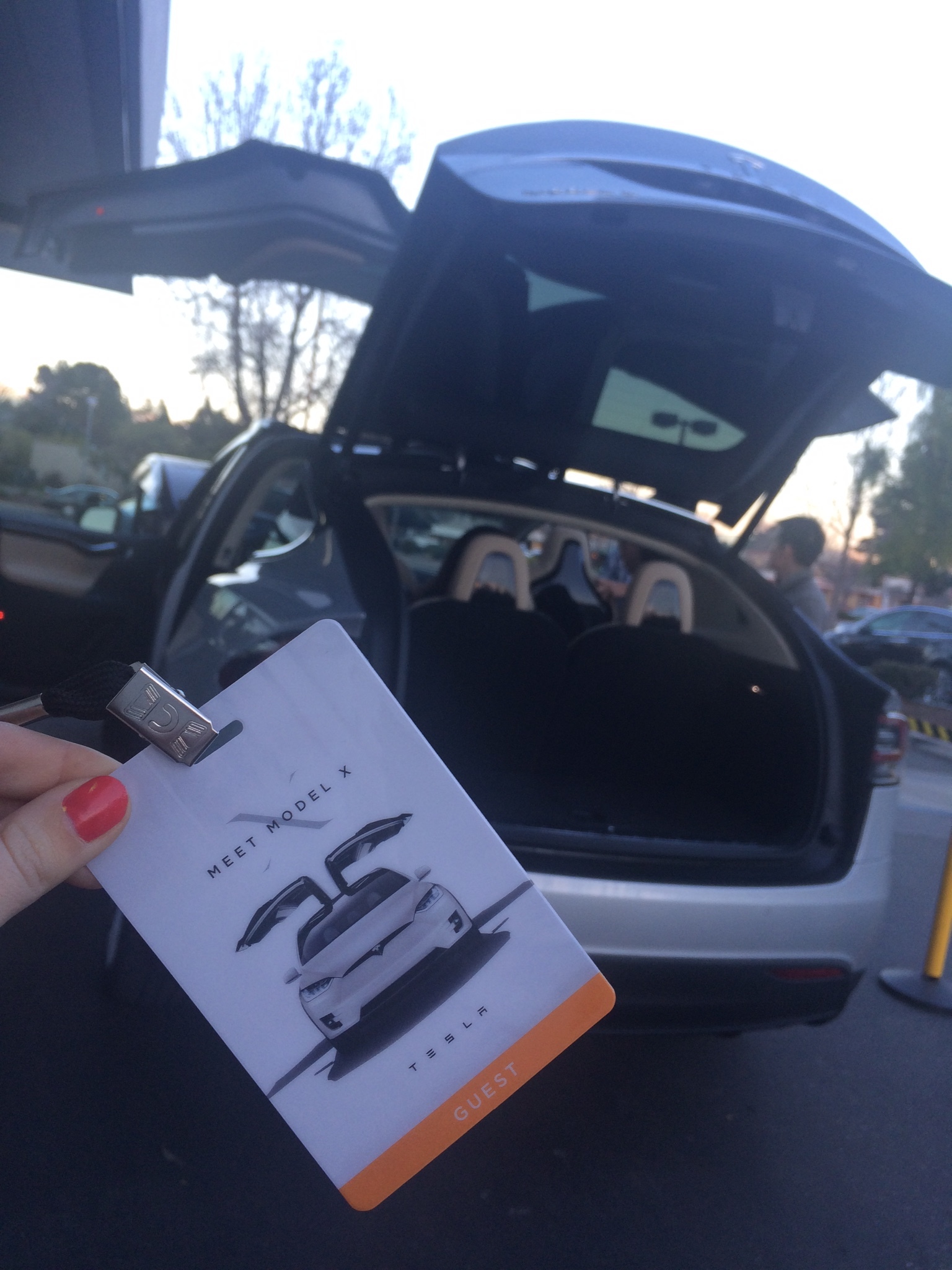 IT'S ELECTRIC! Test-driving a Tesla car... 