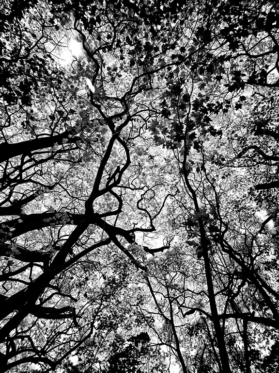 P2080160 web resized.jpg