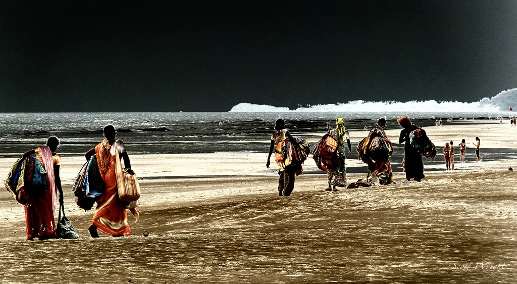 P1000166 Websized.jpg