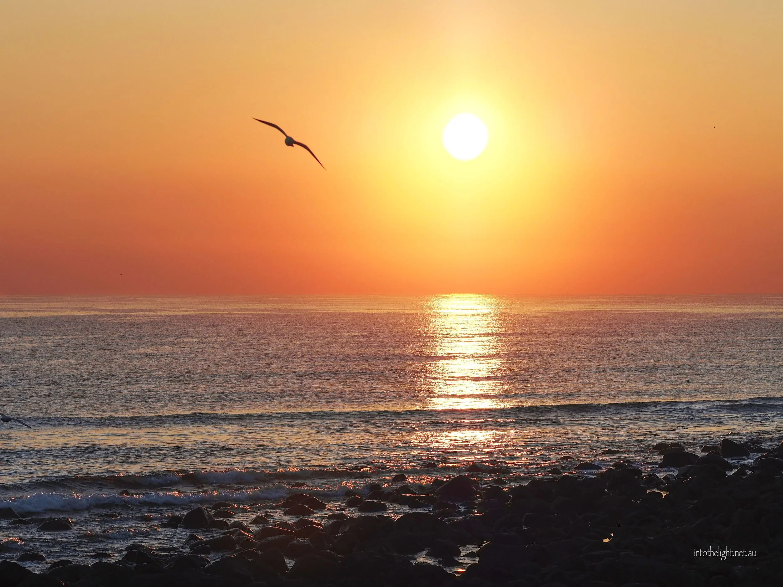 Burliegh Calm-Hooponopono 2.jpg