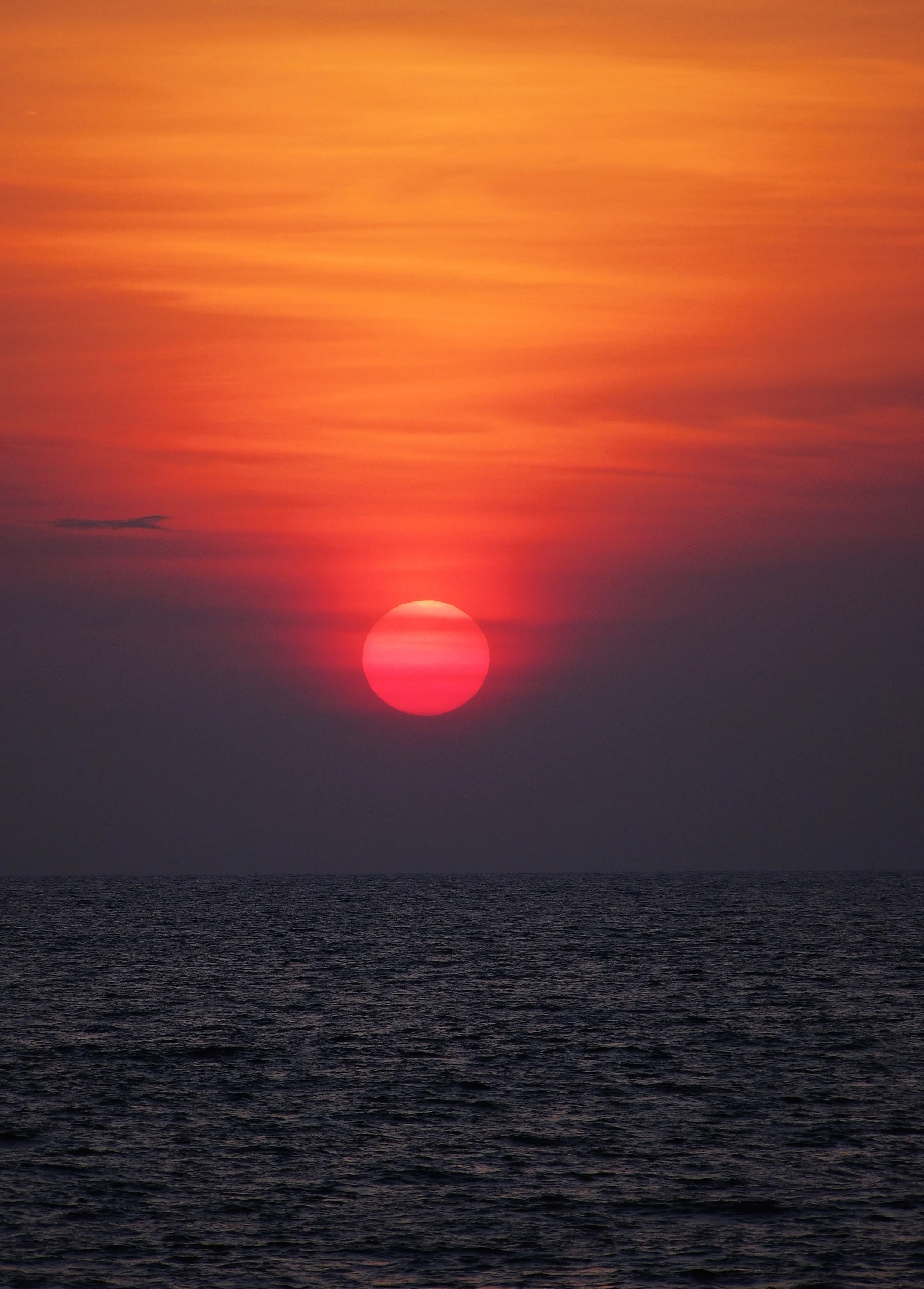 Ecstatic Sunset