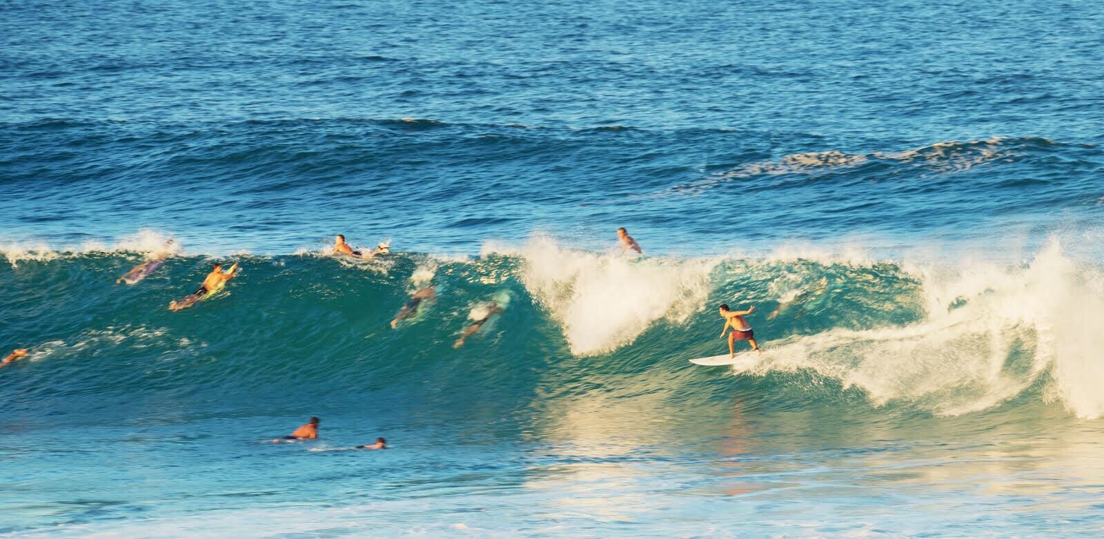 Surf-Goldcoast