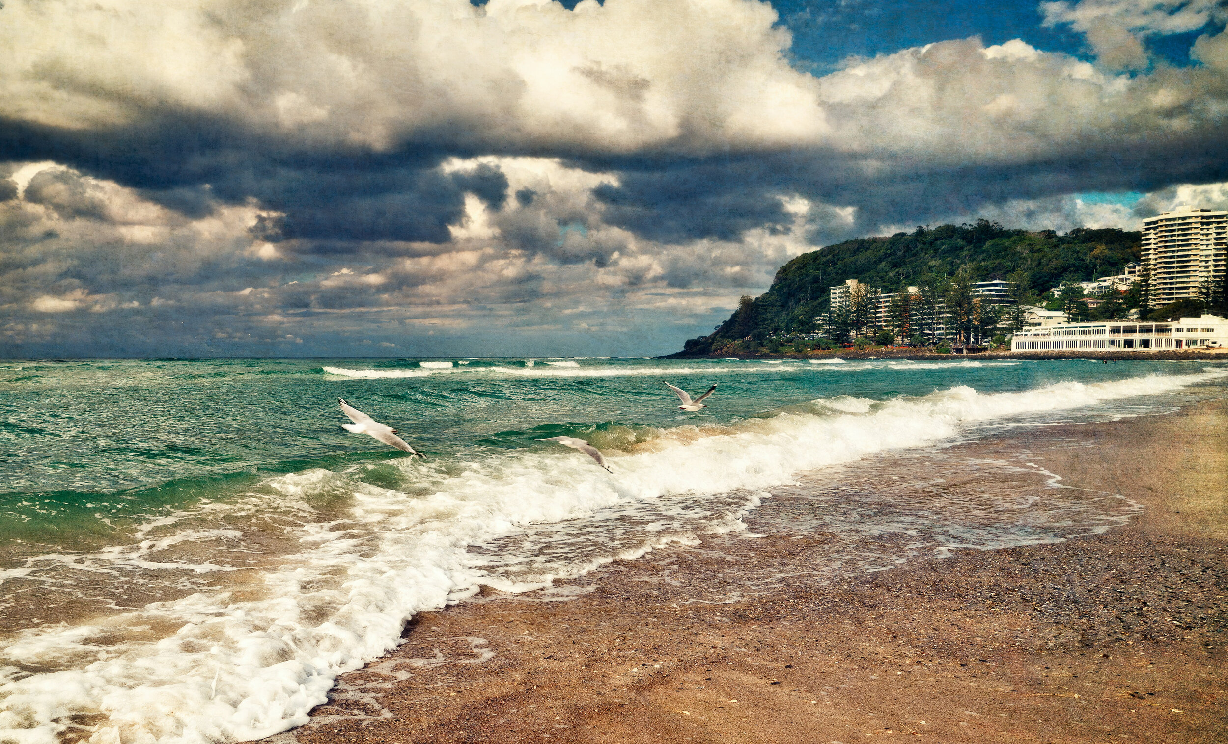 Burleigh-3-birds-flying-low-composite--Colores-1-14-reduced-blur-&-glow-+extra-glow-sky-+-camapri-for-the-water-20%-crop-copy.jpg