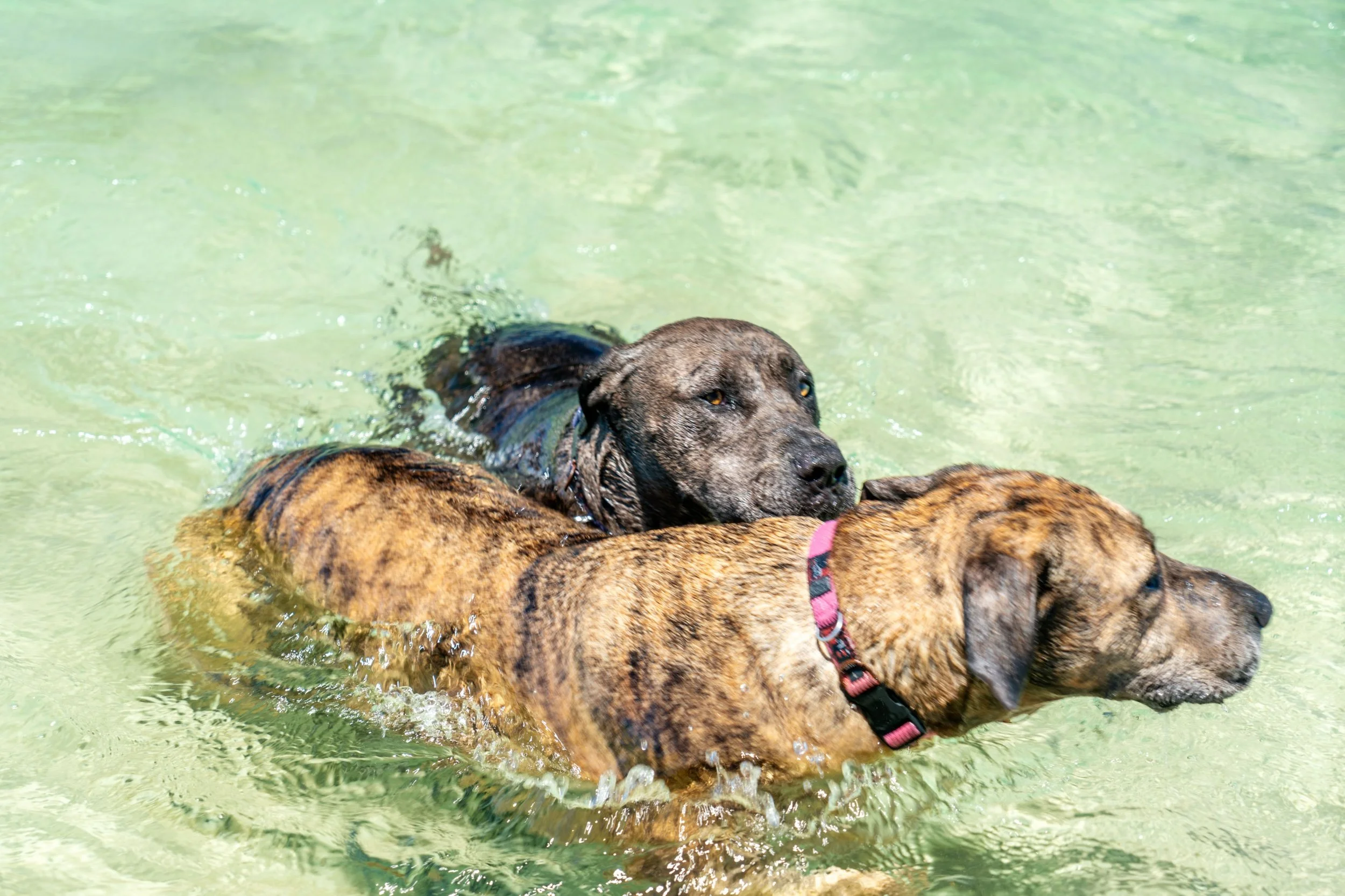 Cabarita 21 June 2025-617.jpeg