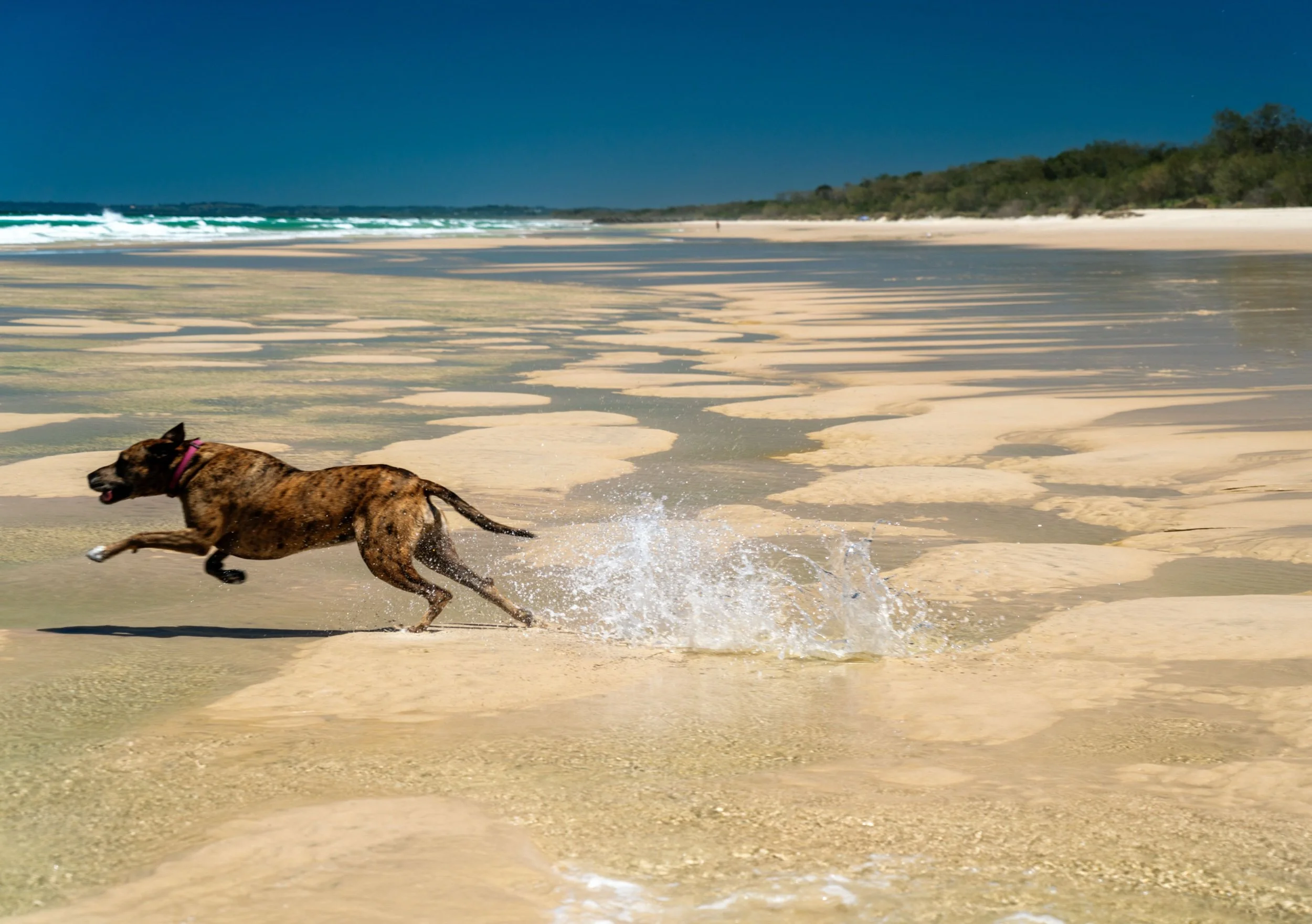 Cabarita 21 June 2025-623.jpeg