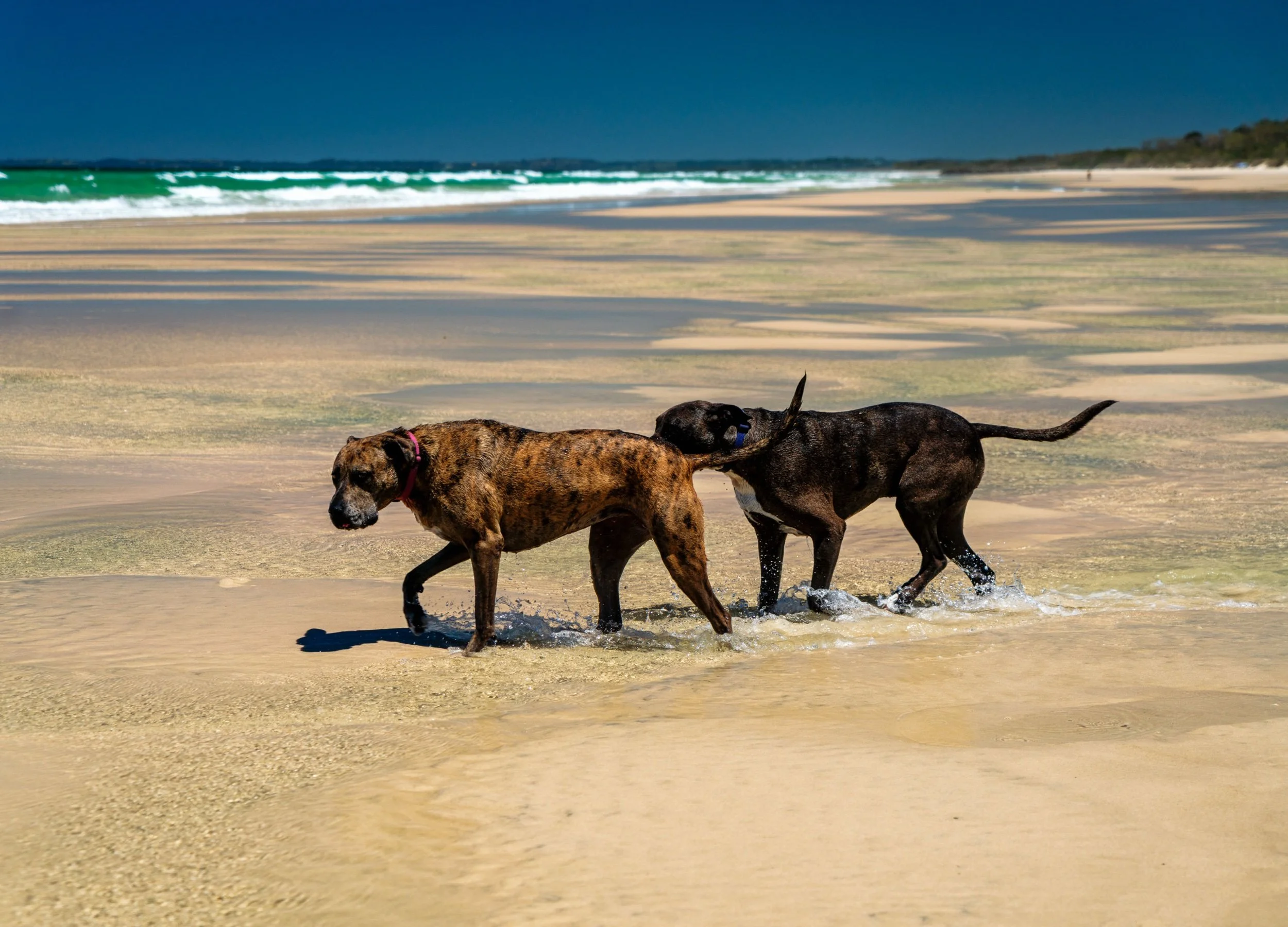 Cabarita 21 June 2025-621.jpeg