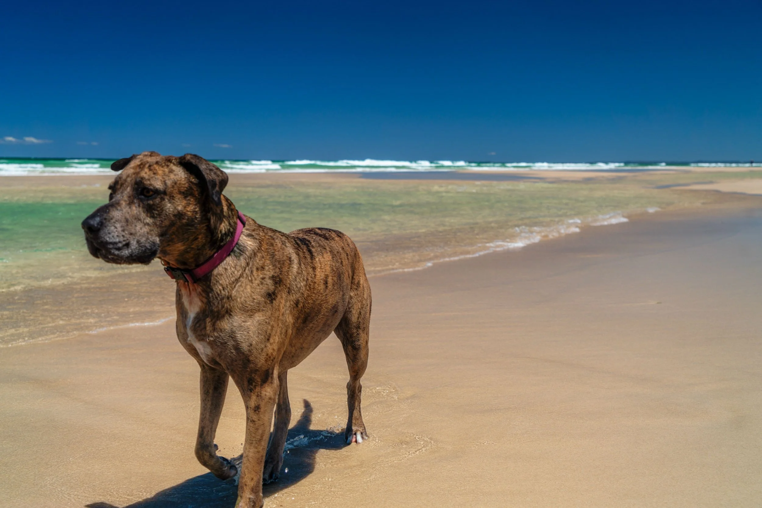 Cabarita 21 June 2025-613.jpeg