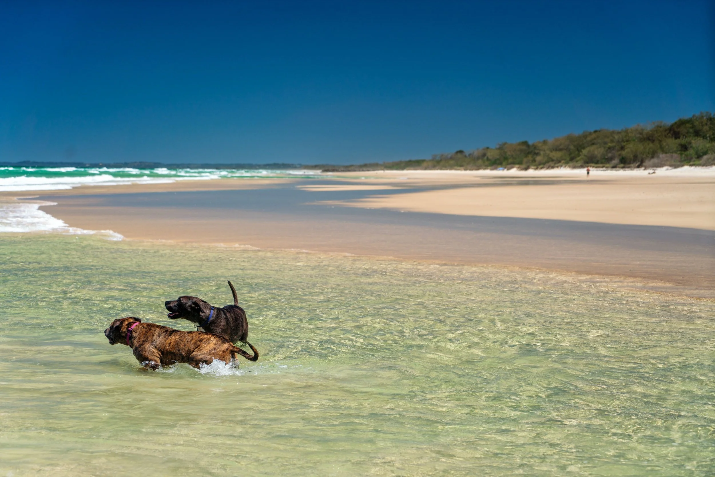 Cabarita 21 June 2025-619.jpeg