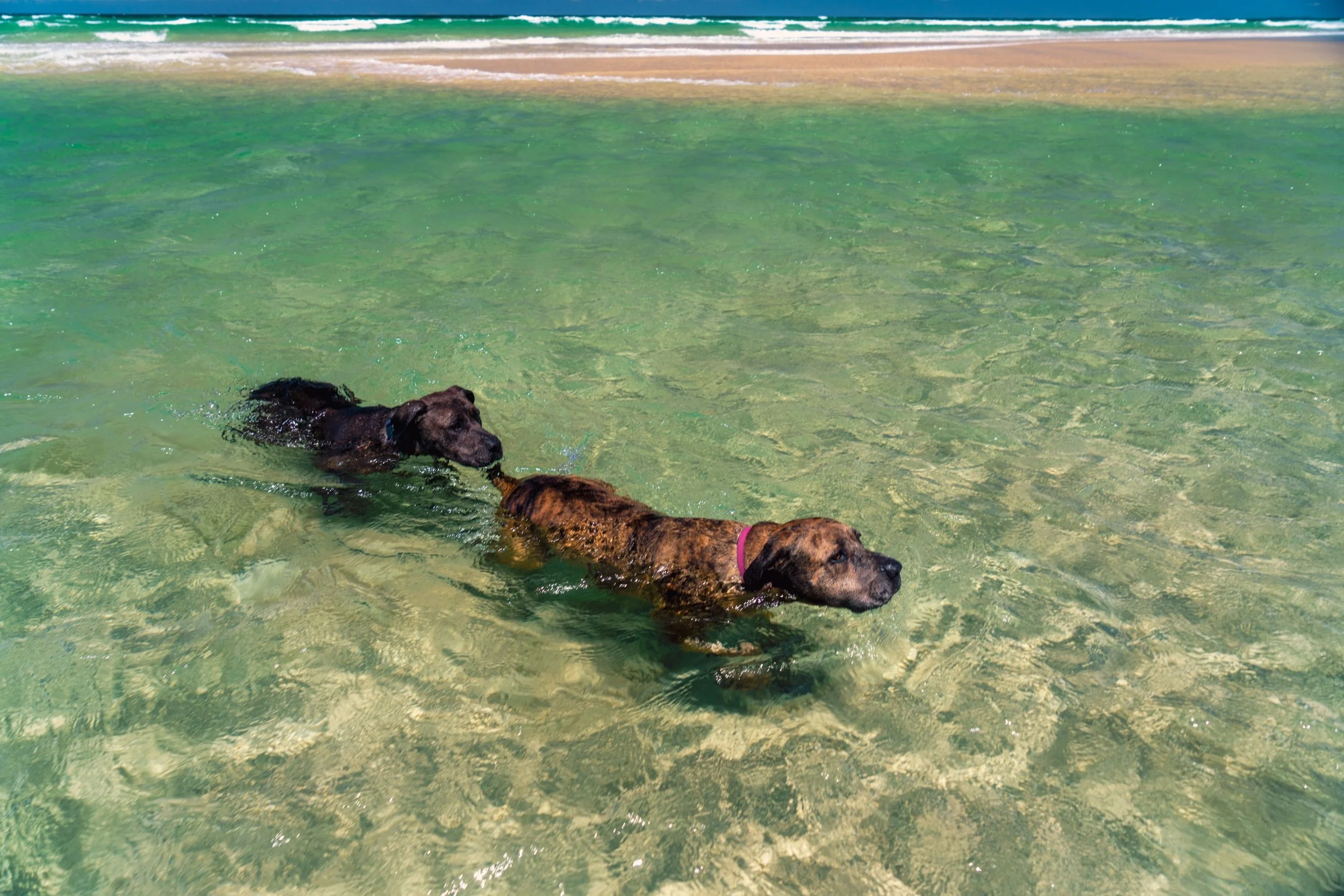 Cabarita 21 June 2025-615.jpeg