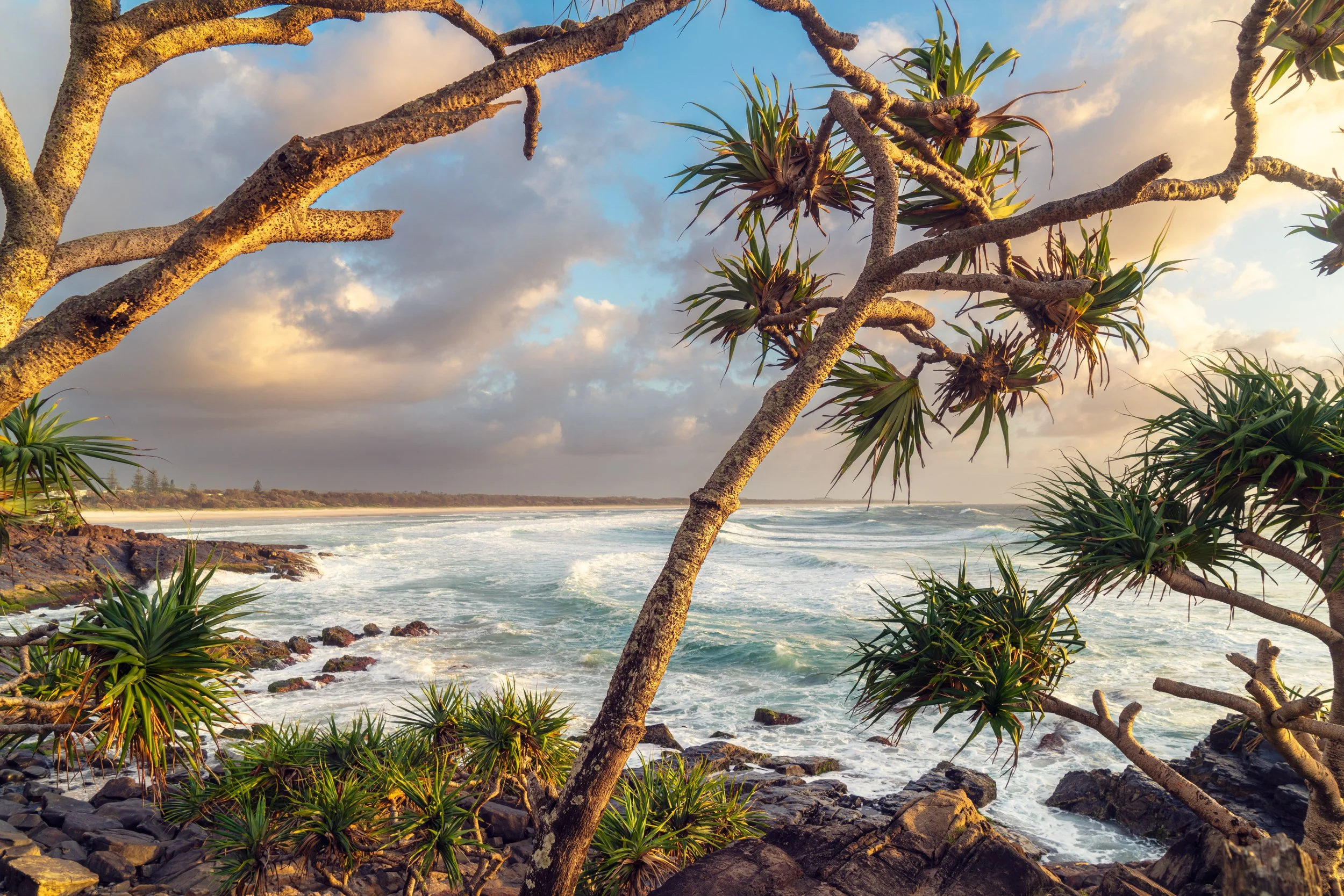 Cabarita Sunrise-321.jpg