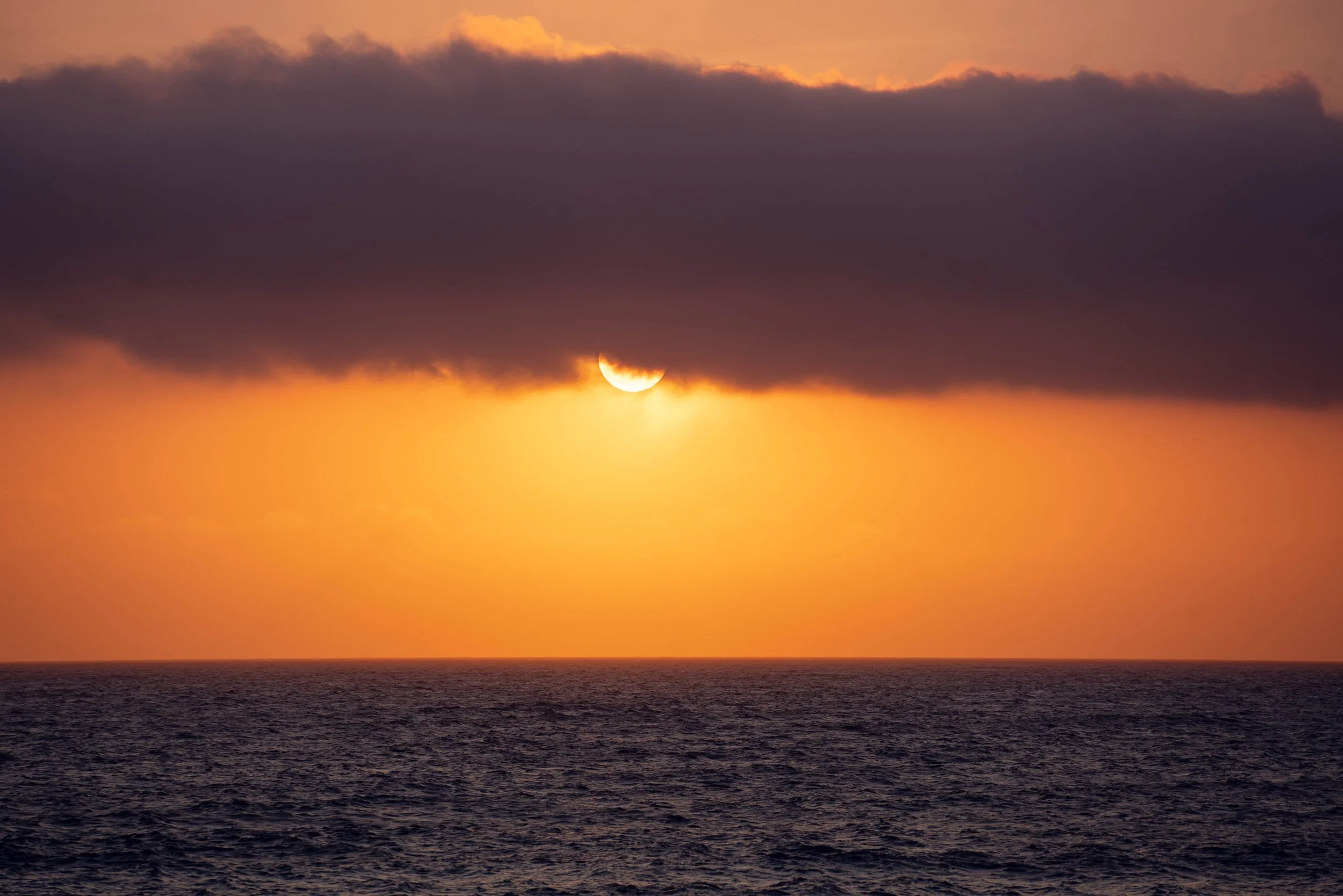 _DSC9417-Edit.jpg