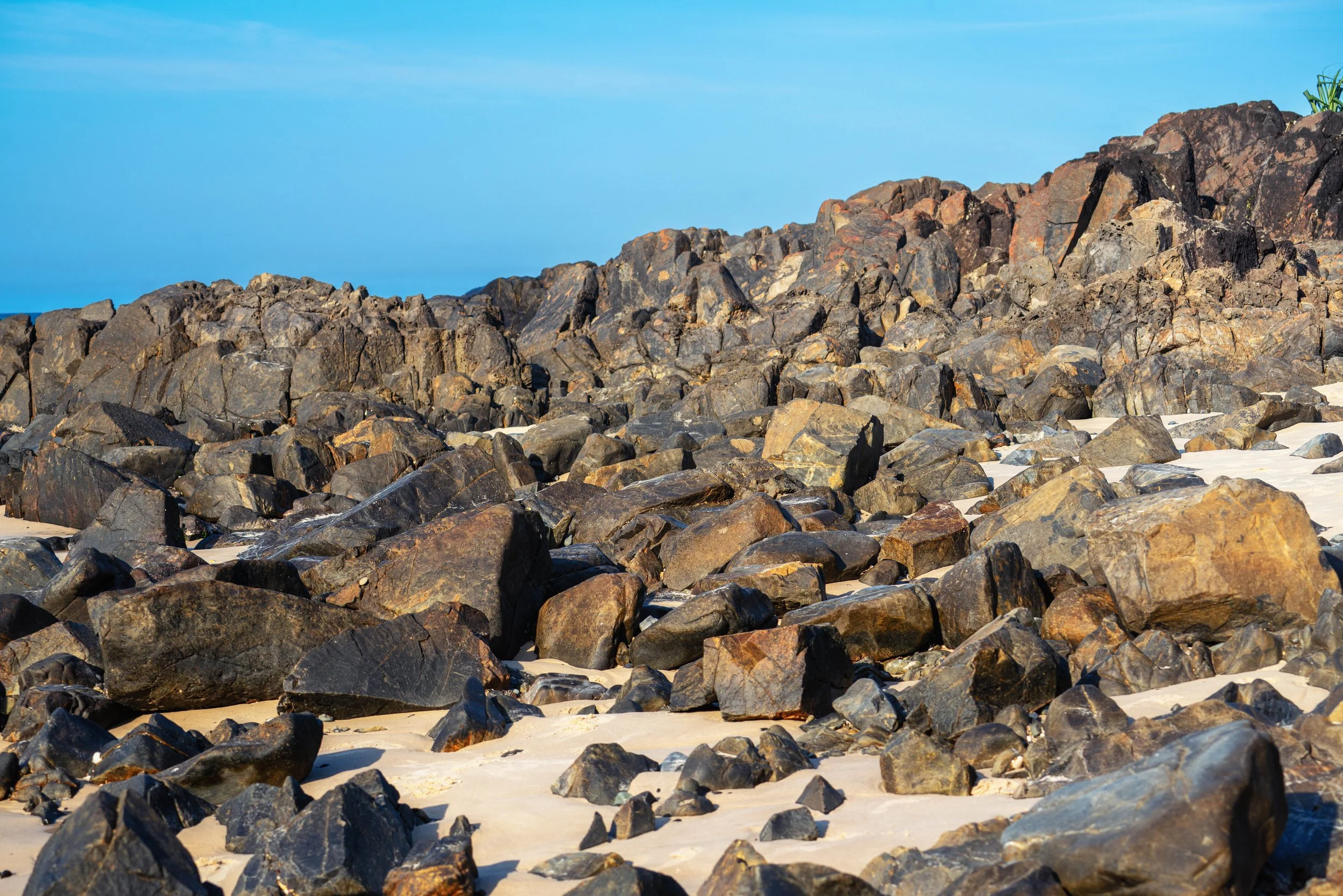 _DSC9369-Edit.jpg