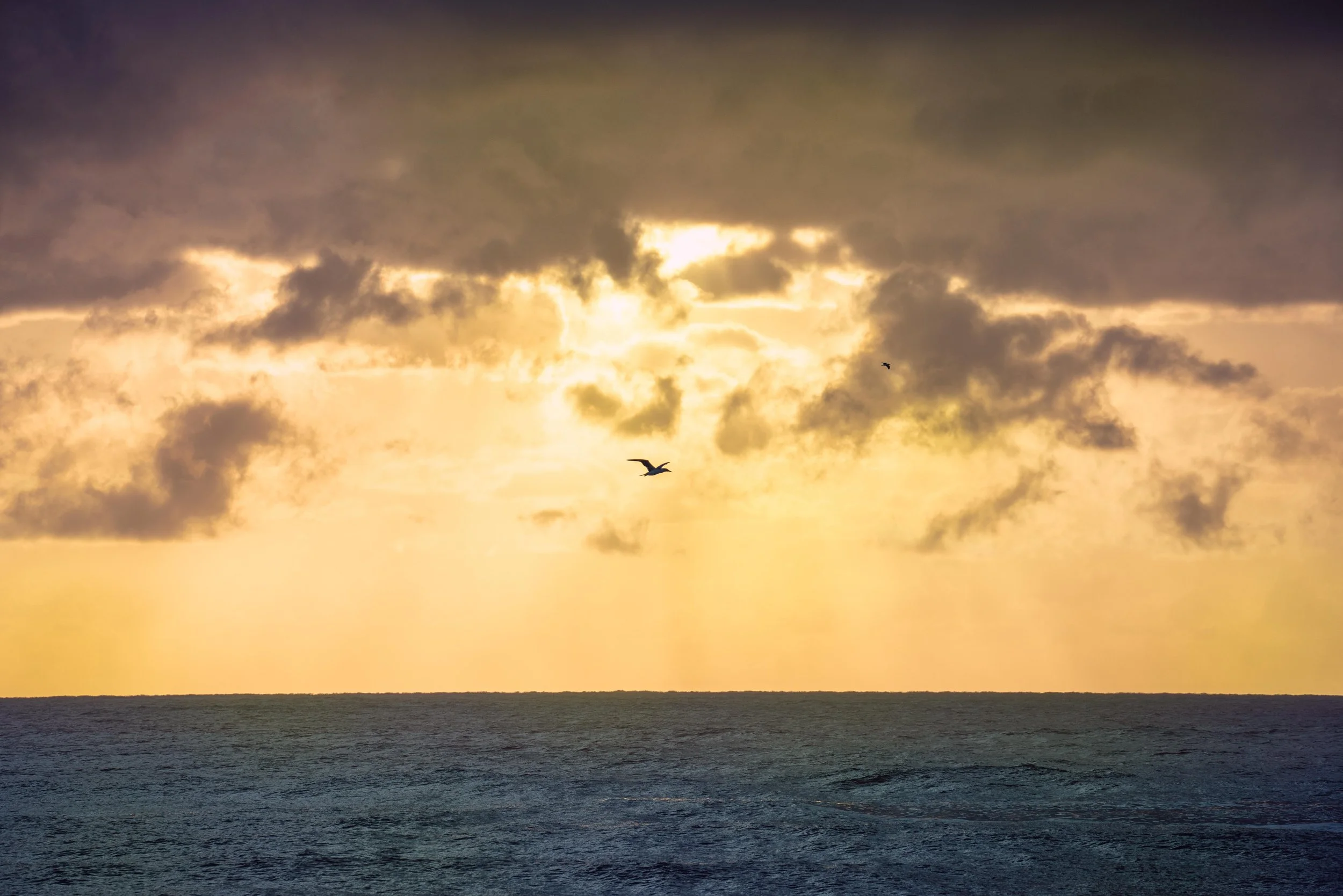 Cabarita Sunrise-170.jpg