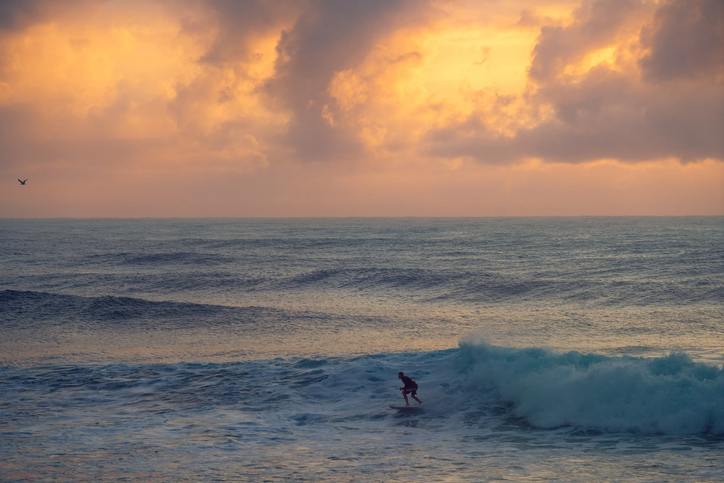 Cabarita Sunrise-258.jpg