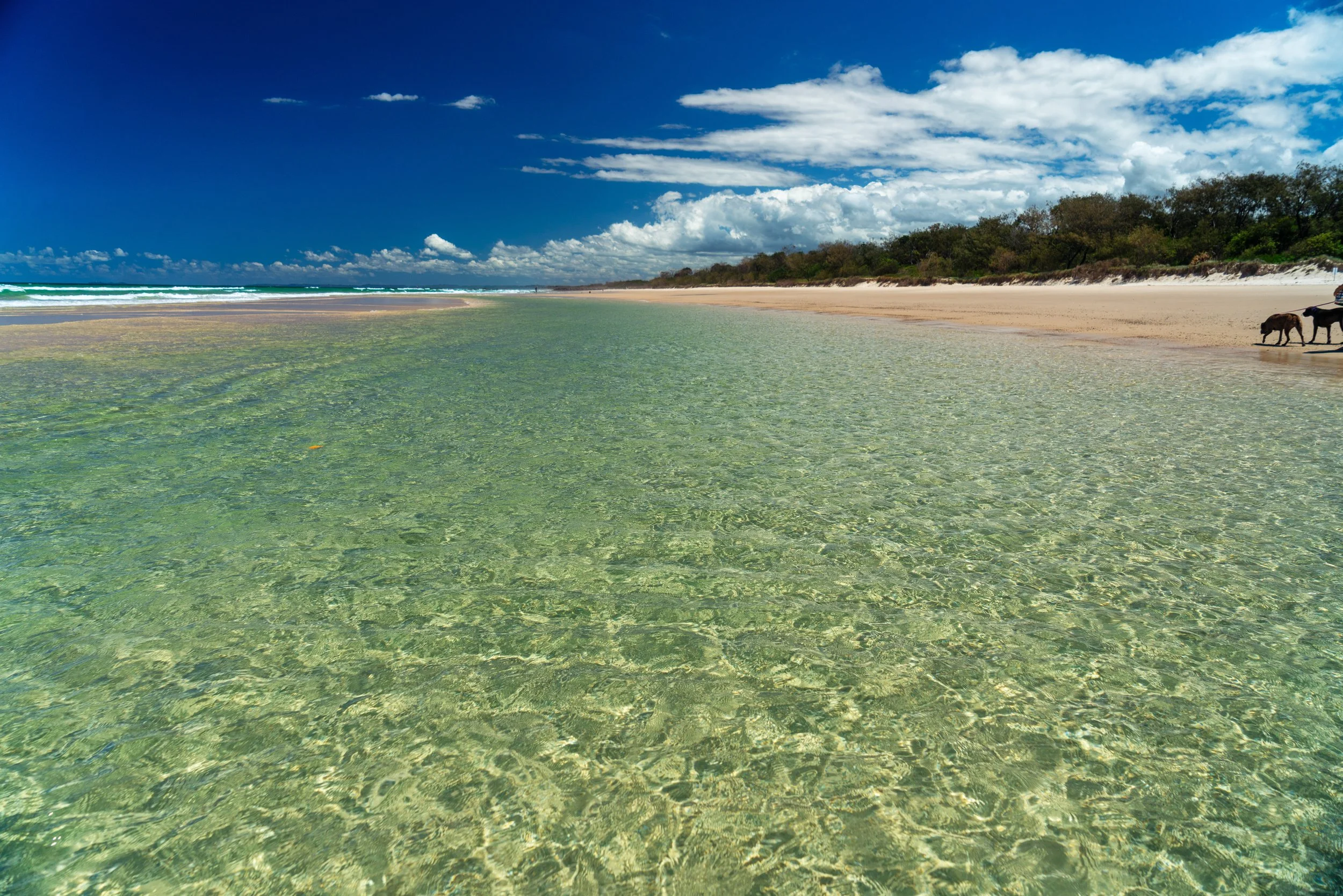 Cabarita 21 June 2025-558.jpg