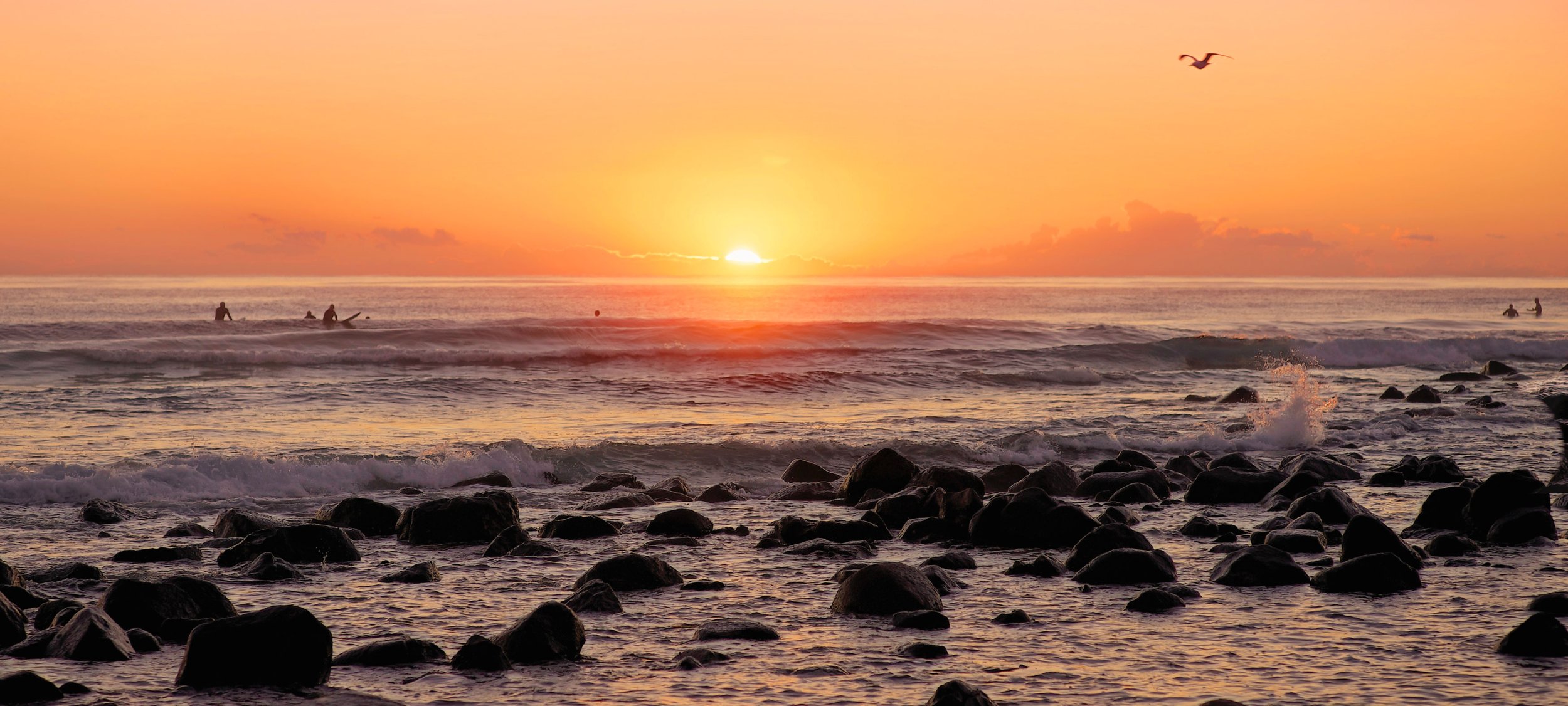 Burliegh-peeping-sunrise+bird.jpg