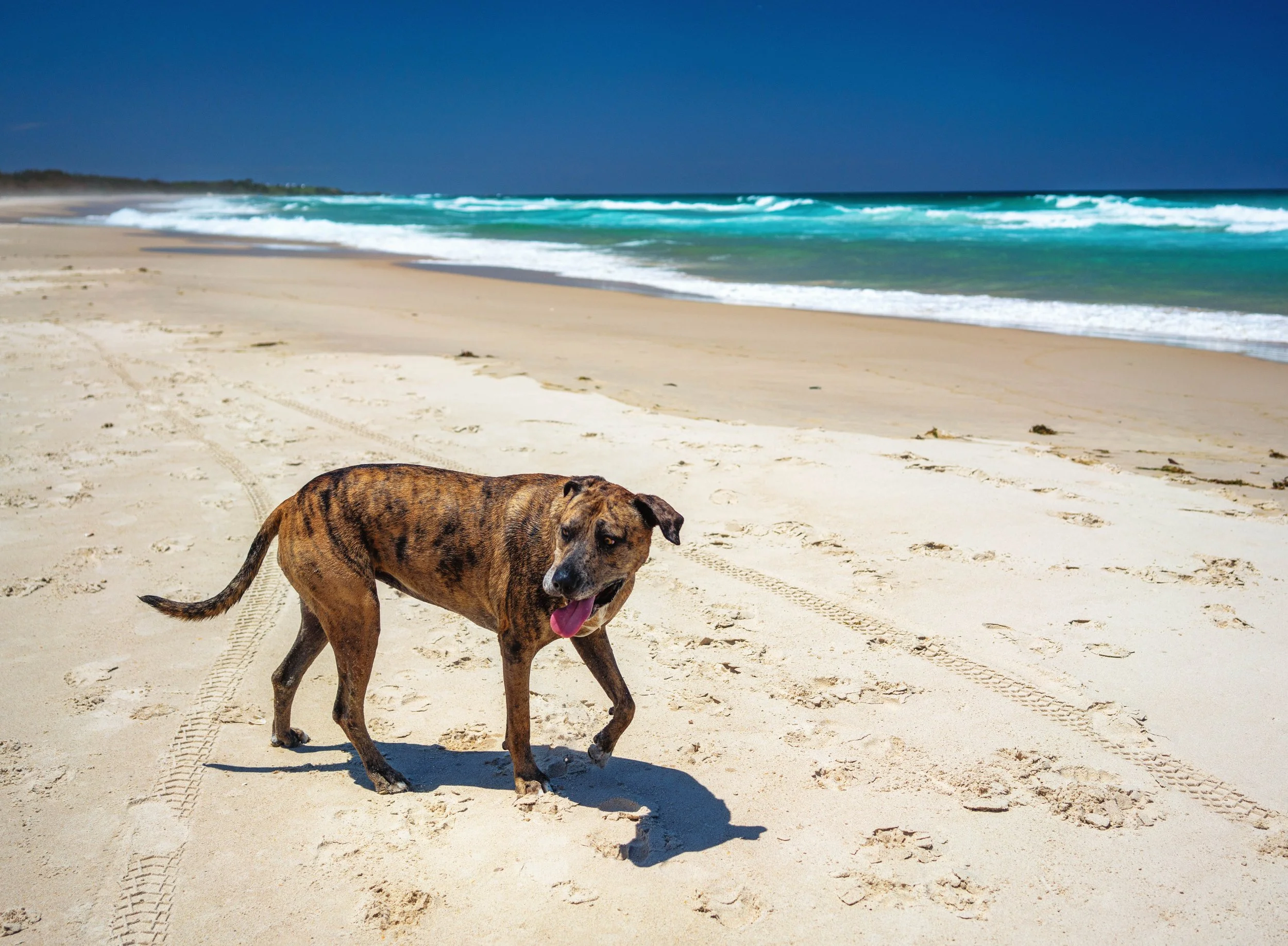Cabarita-Midday-Long beach-polarised-7 dec-2025-8.jpg