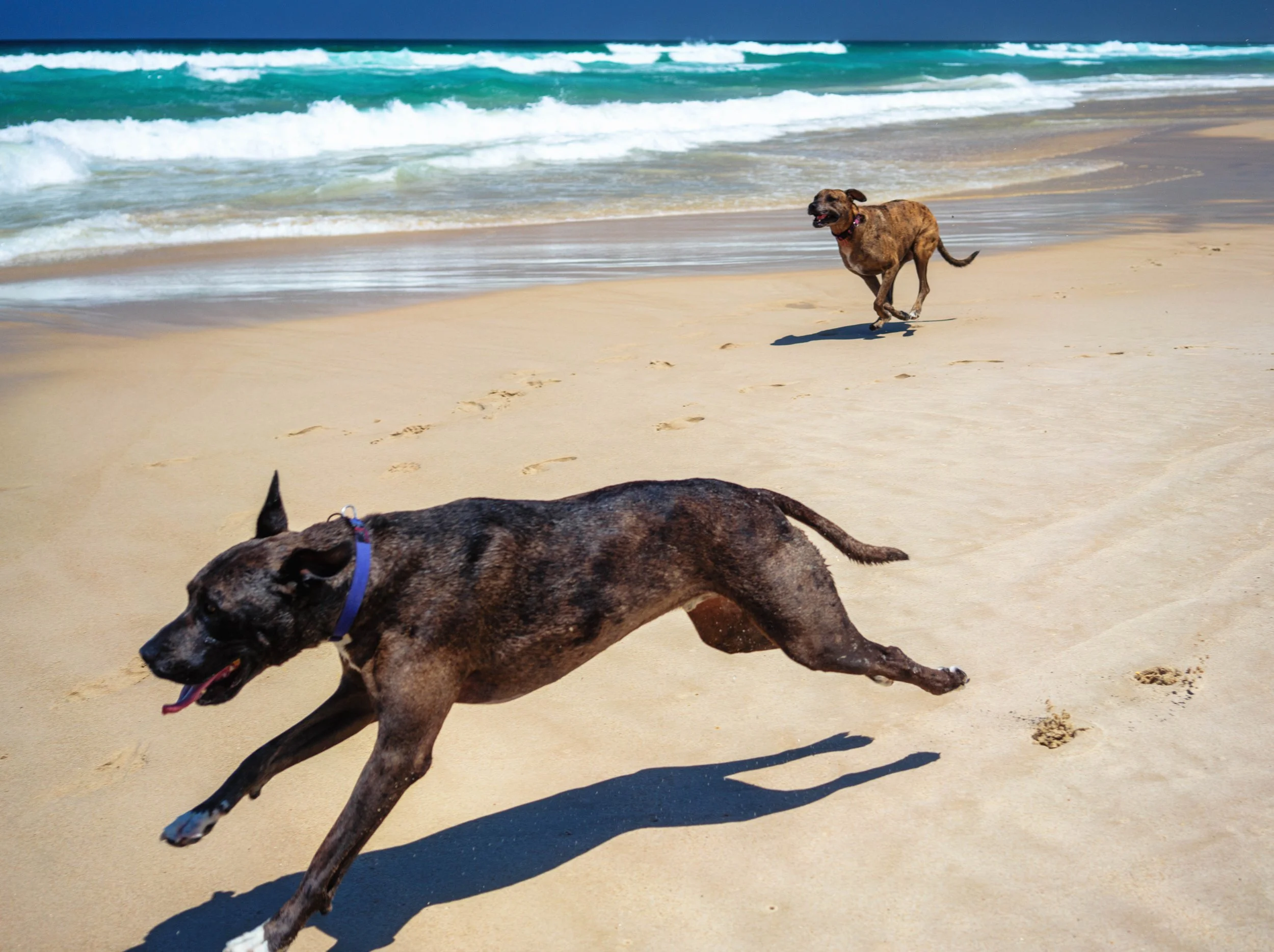 Cabarita-Midday-Long beach-polarised-7 dec-2025-23.jpg