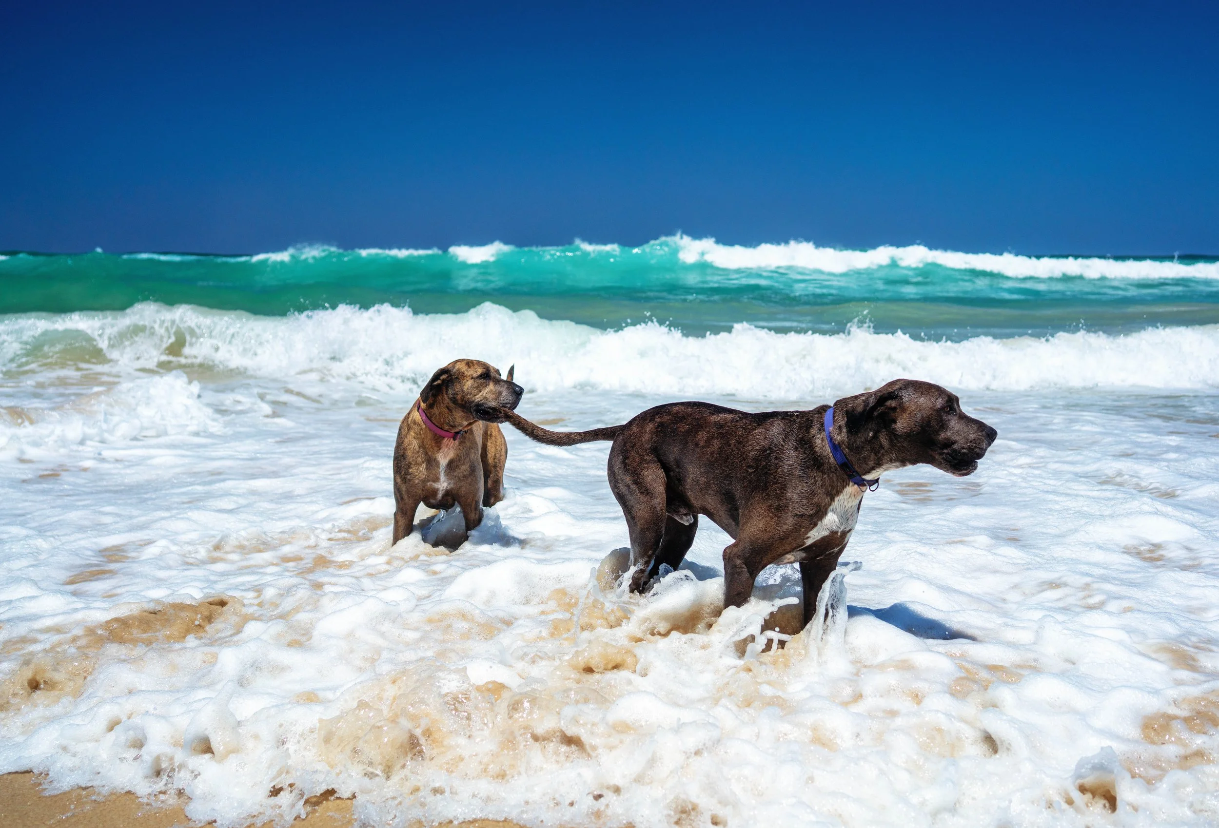Cabarita-Midday-Long beach-polarised-7 dec-2025-22.jpg