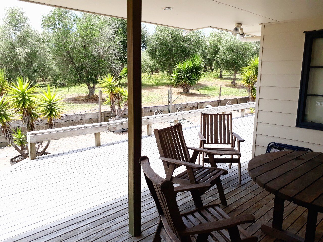 Room 4  Outside deck with view of Olive grove.jpg