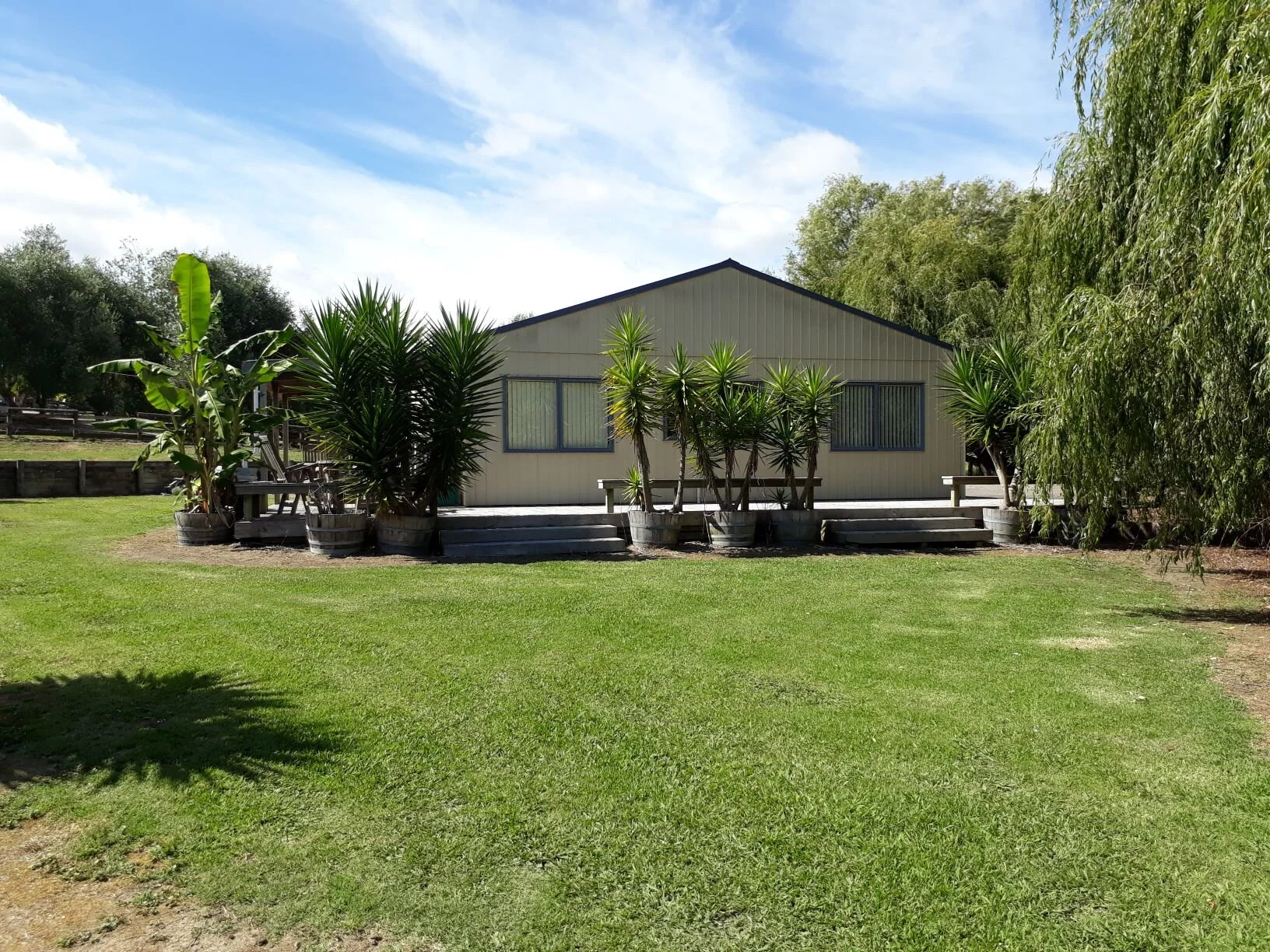 View of Accommodation and Olive grove Welcome.jpg