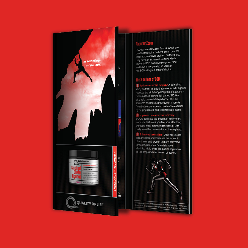 SN 02 - BCO Brochure.jpg