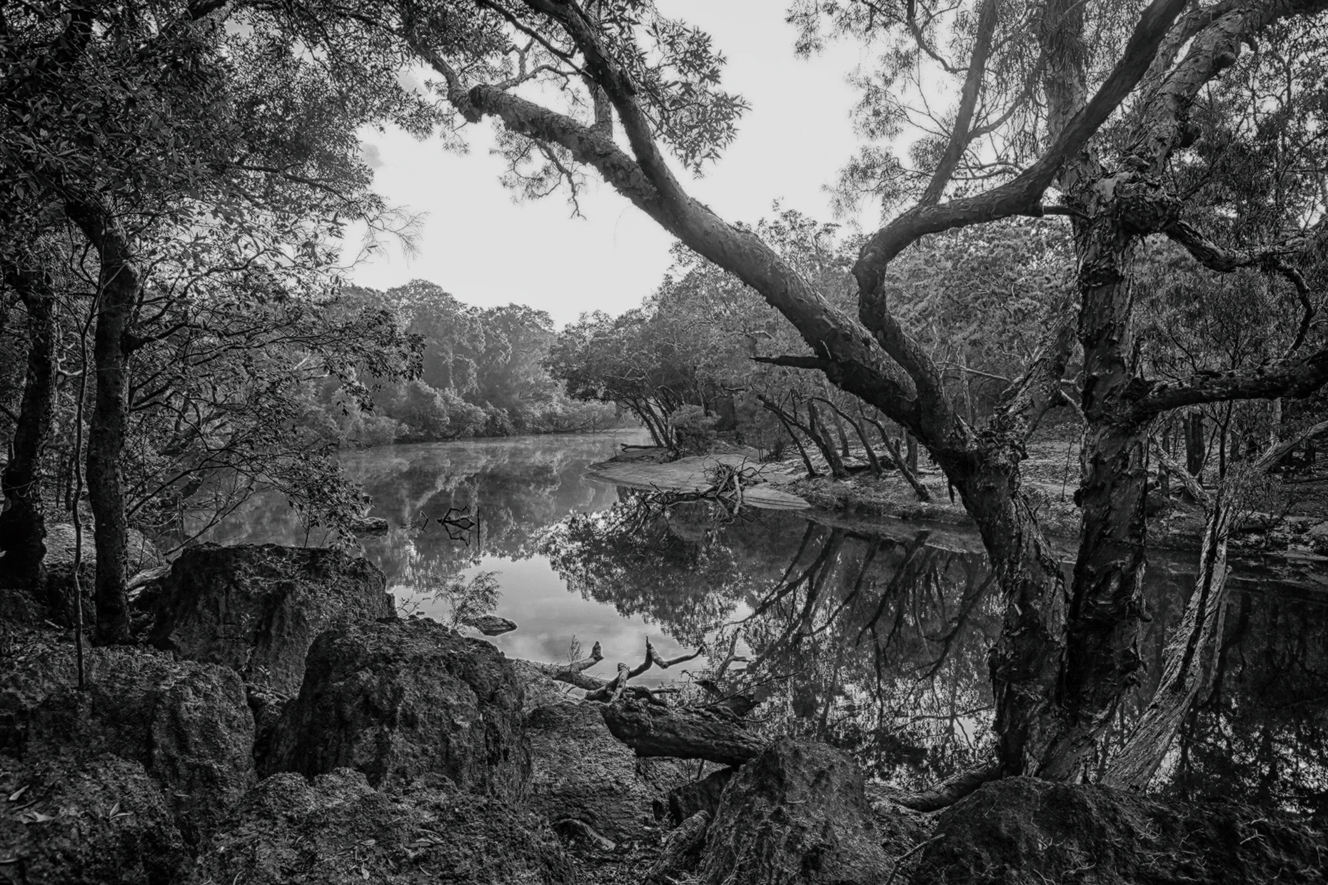 Steve Irwin Wildlife Reserve