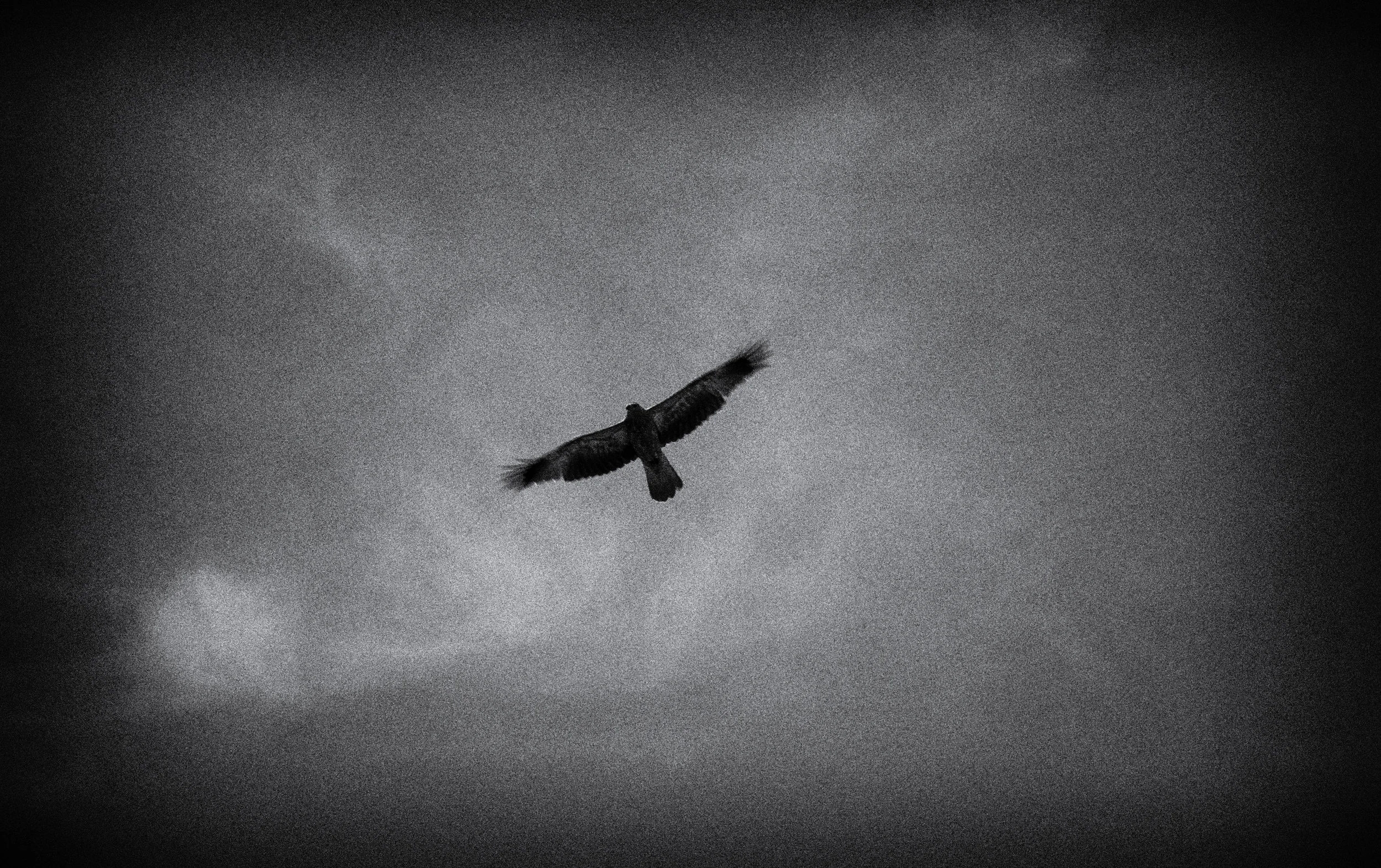 flight2.jpg