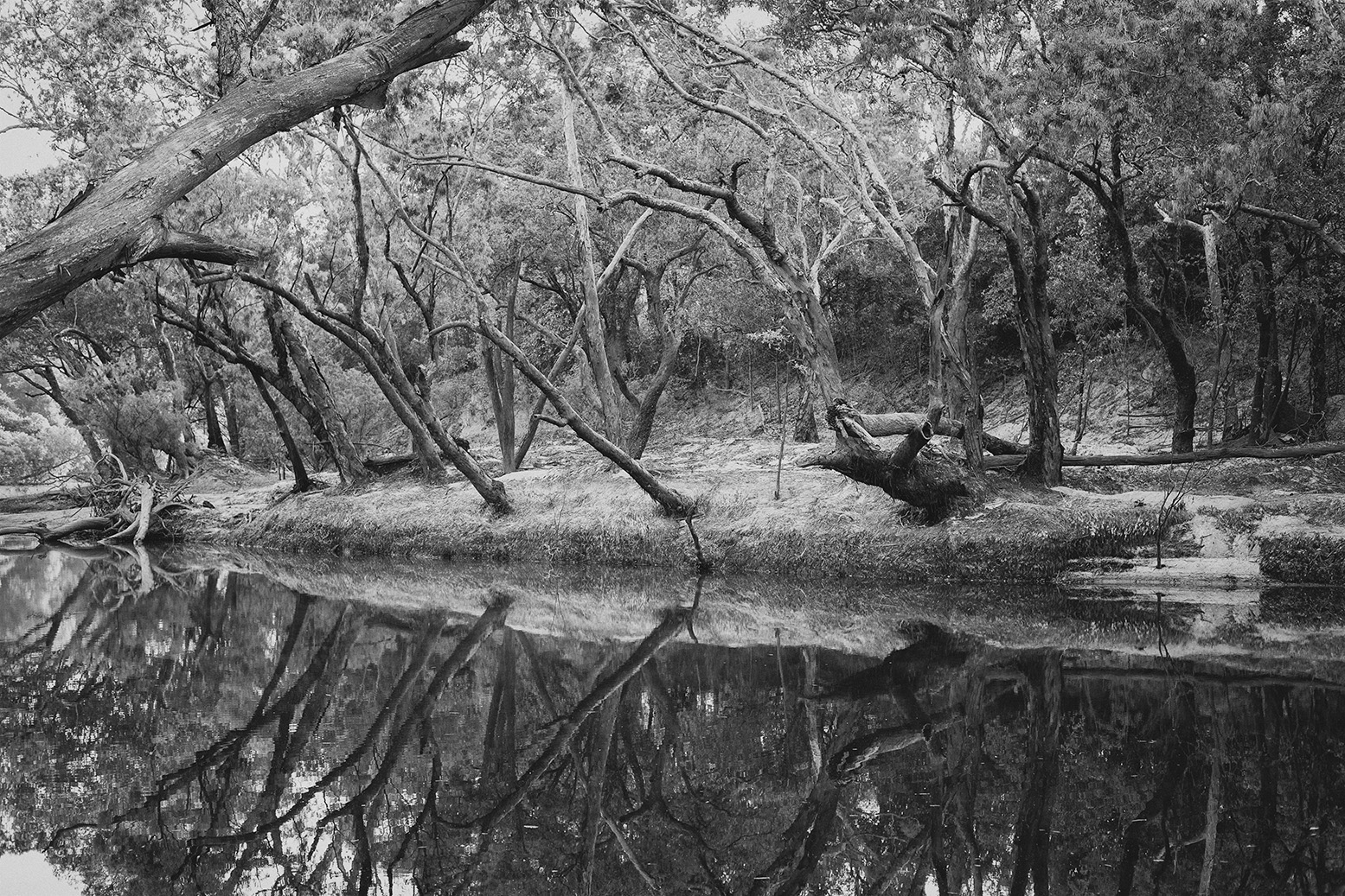 Steve Irwin Wildlife Reserve