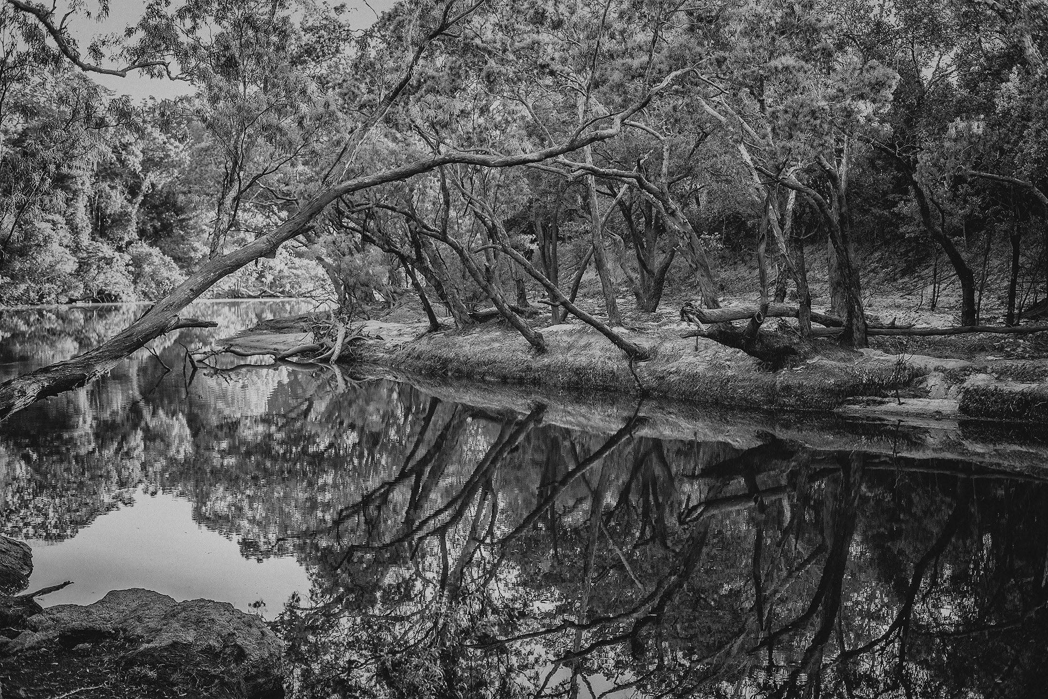 Steve Irwin Wildlife Reserve