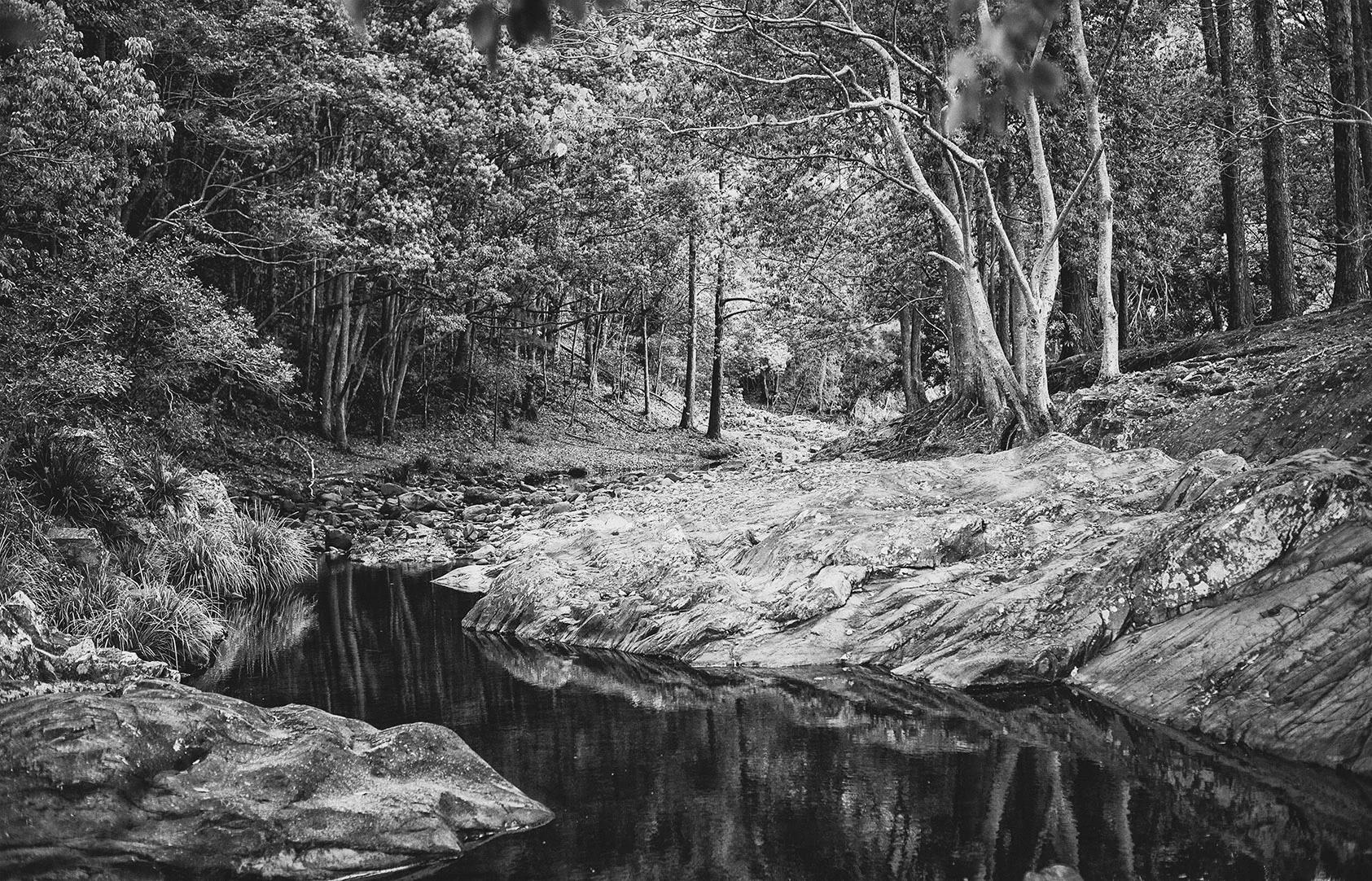 Currumbin Valley