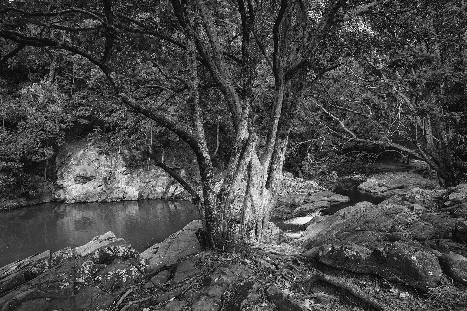 Currumbin Valley