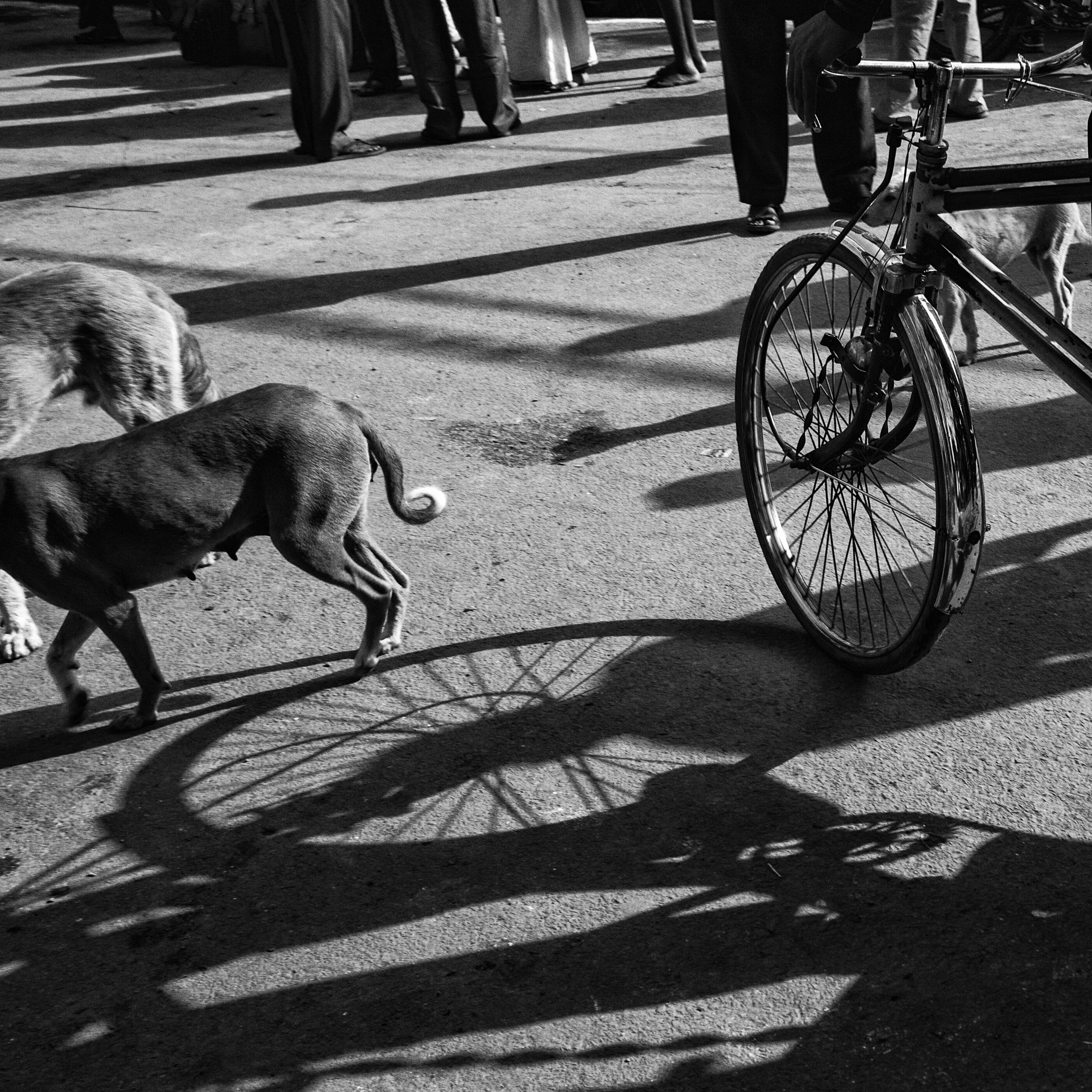 "Varanasi" © Russell Shakespeare 2015